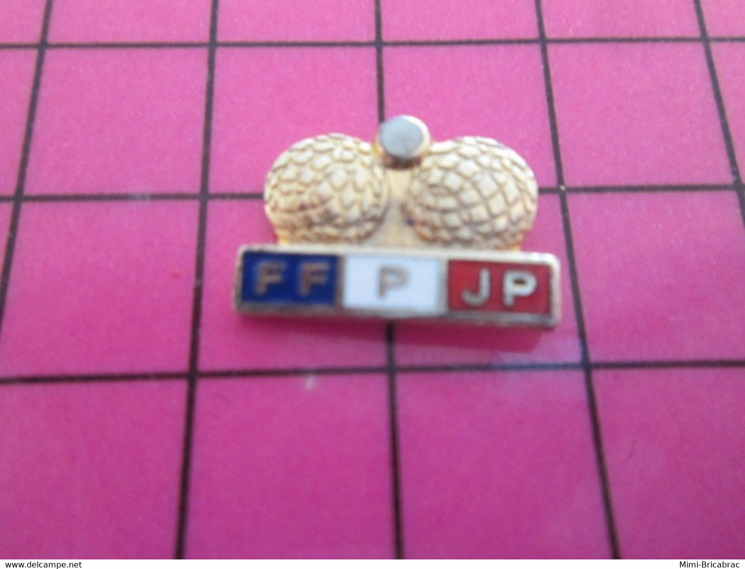 812B Pin's Pins / Beau Et Rare : Thème SPORTS/ PETANQUE JEU PROVENÇAL FeDeRATION FRANCAISE BOULES COCHONNET - Pétanque