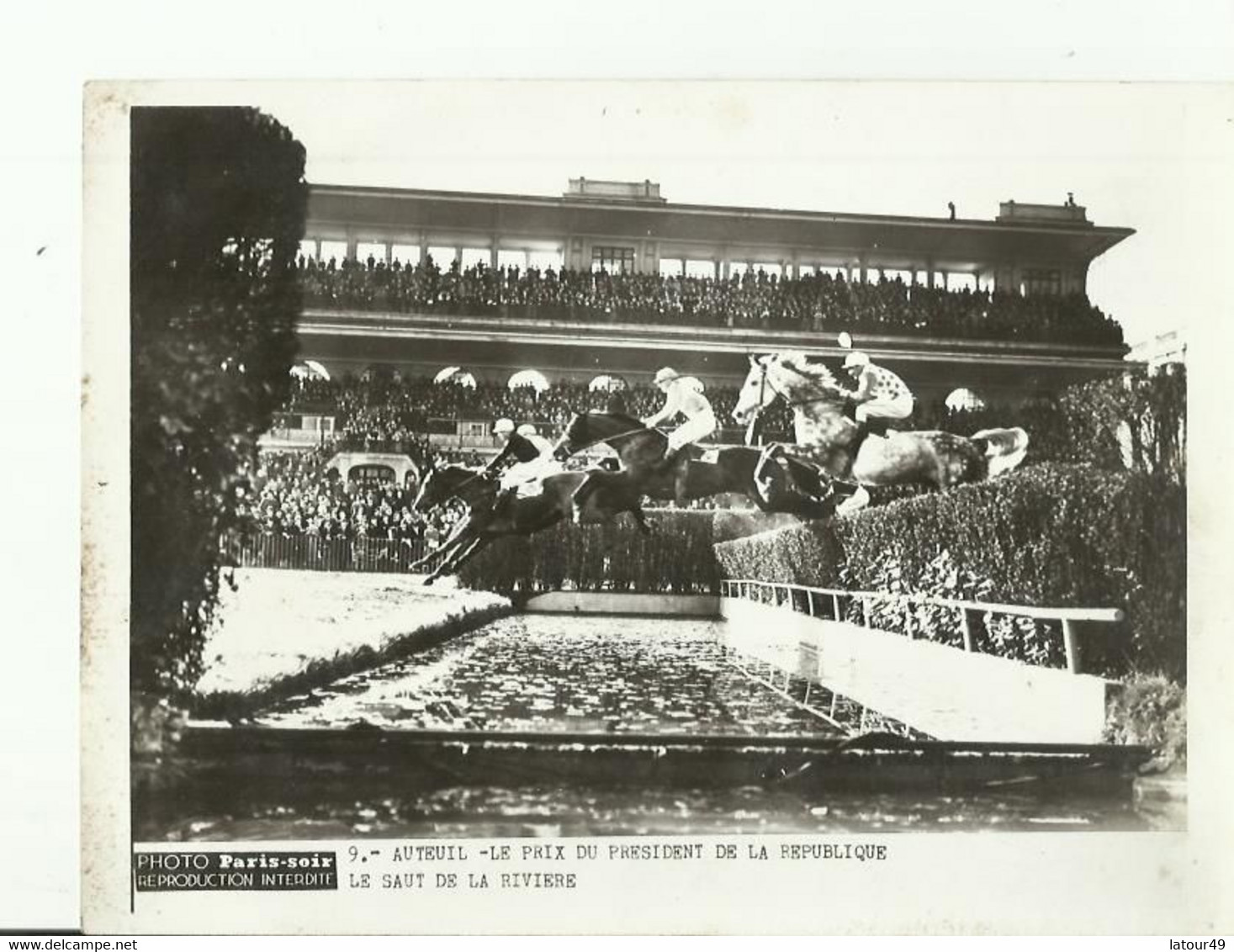 Auteuil  Le Prix Du President De La Republique  Le Saut De La Riviere  Dans Le Annee 1960 Photo 20  X 15  Cm - Equitation