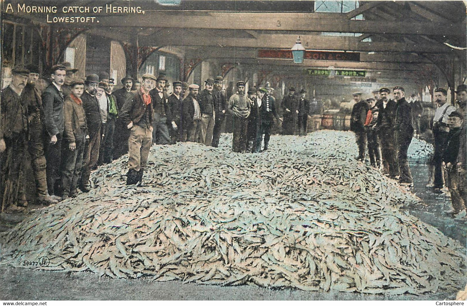 CPA Europe Royaume-Uni Angleterre Suffolk LOWESTOFT - A MORNING CATCH OF HERRING Pêche Hareng Fishermen - Lowestoft