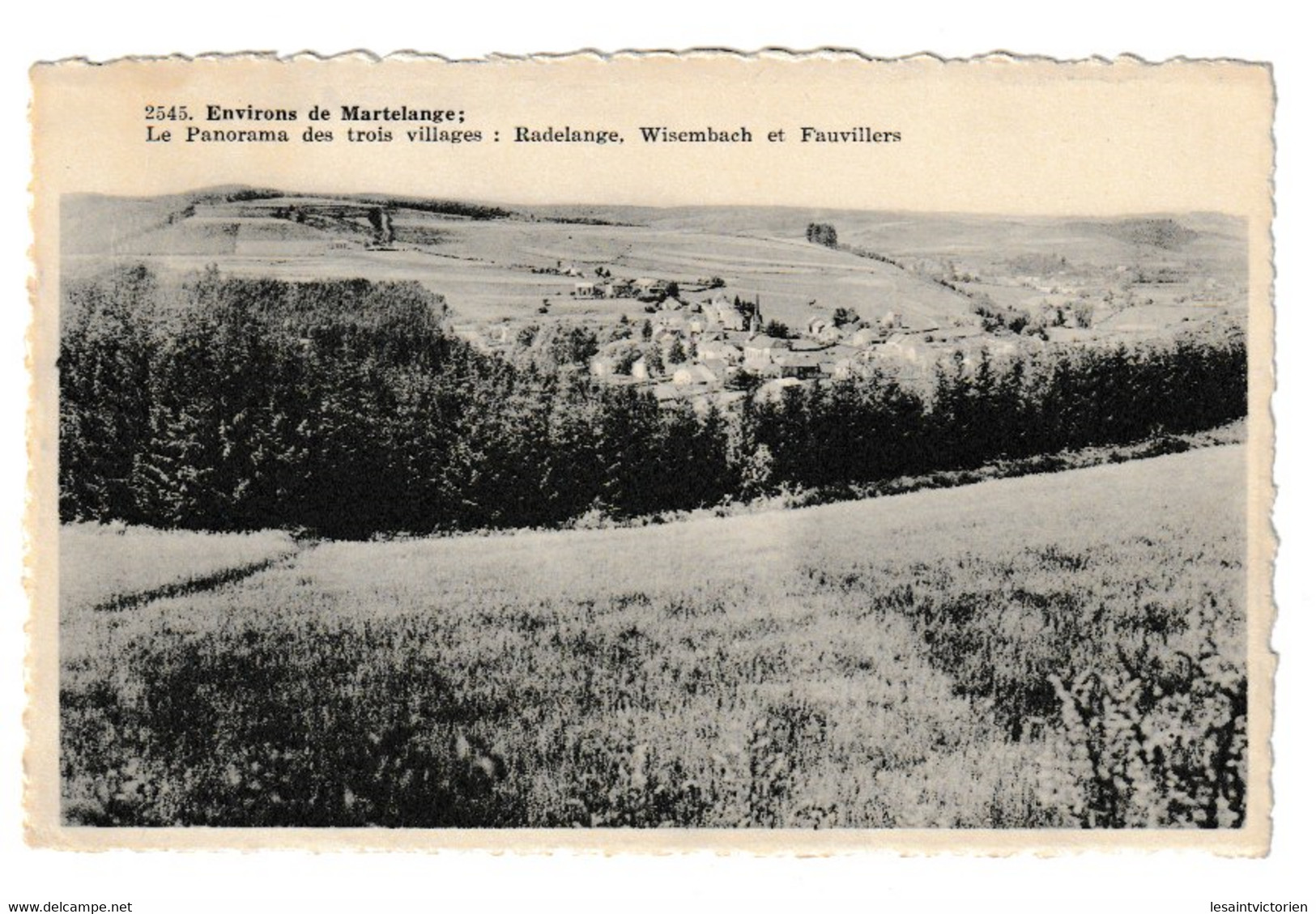 MARTELANGE FAUVILLERS WISEMBACH RADELANGE  N°2545 PANORAMA DES 3 VILLAGES - Martelange