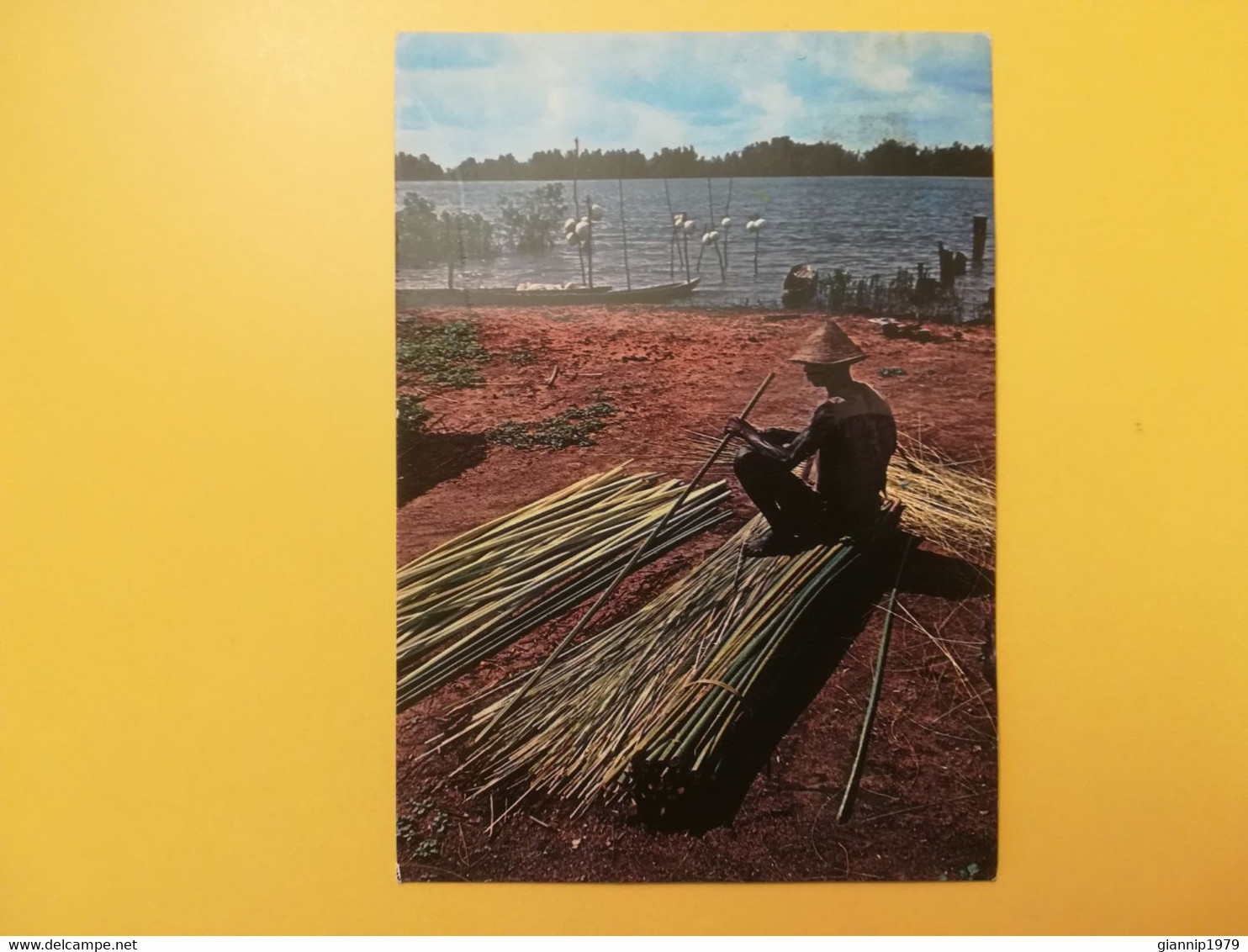 CARTOLINA POSTCARD GAMBIA  1980 PREPARING REEDS FOR MATTING  BOLLO NATURE RESERVE - Gambie