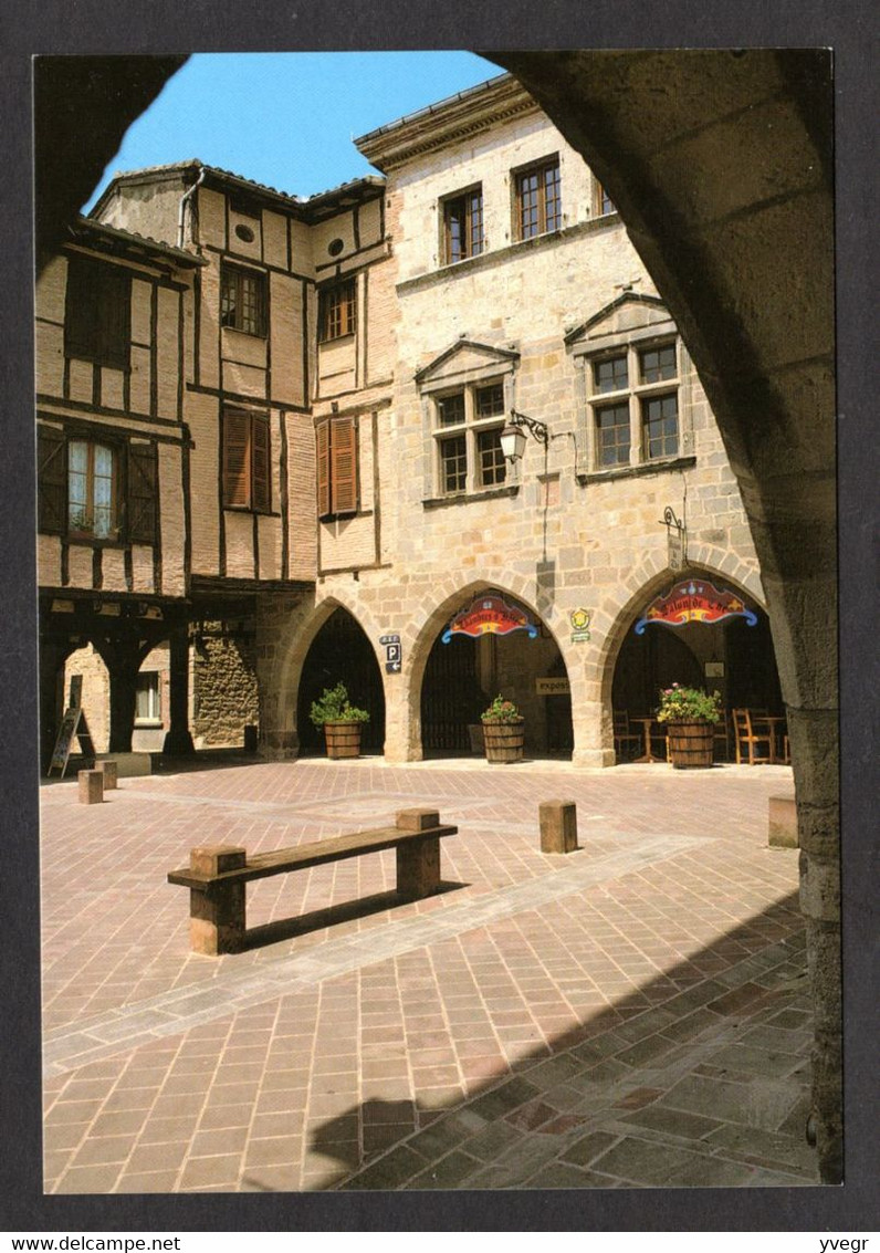 CASTELNAU De MONTMIRAL (81 Tarn) Un Des Plus Beaux Villages De France, Place Des Arcades ( APA-POUX N° 81064 - 12) - Castelnau De Montmirail