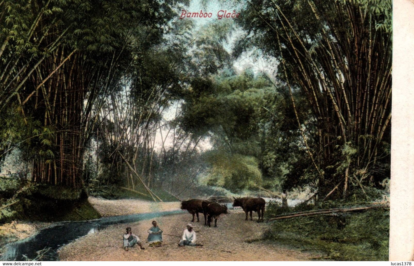 BAMBOO GLADE / JOLIE CARTE - Jamaïque