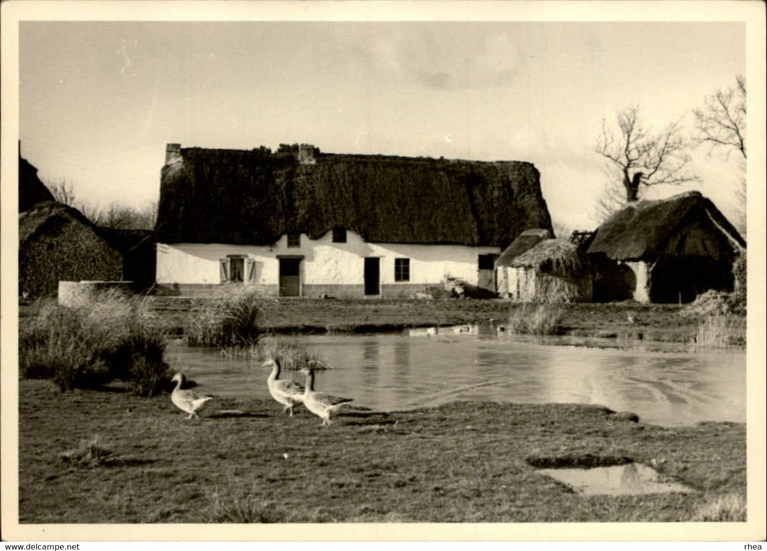 44 - SAINT-LYPHARD - éditions De La Sirène - Chaumière - Oies - Saint-Lyphard