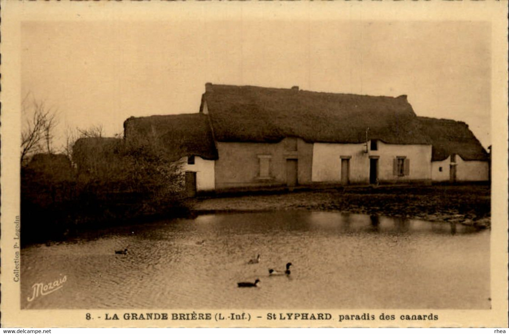 44 - SAINT-LYPHARD - Brière - Canards - Chaumière - Saint-Lyphard