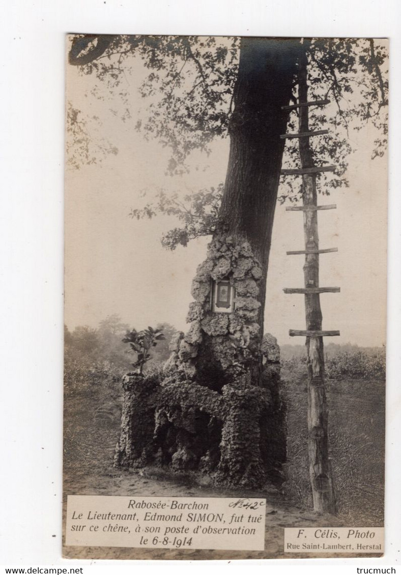 42 - RABOSéE - BARCHON  - Le Lieutenant Edmond SIMON Fut Tué Sur Ce Chêne, à Son Poste D'observation Le 06.08.1914 - Blégny