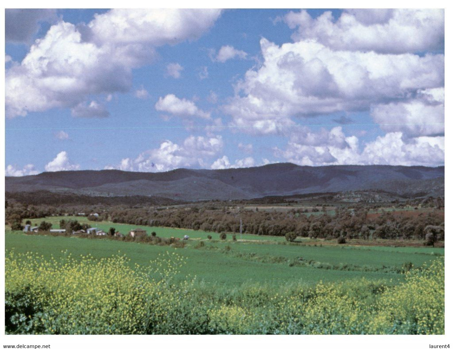 (II {ii} 8) (ep) Australia - QLD - Bunya Mountains - Towoomba / Darling Downs