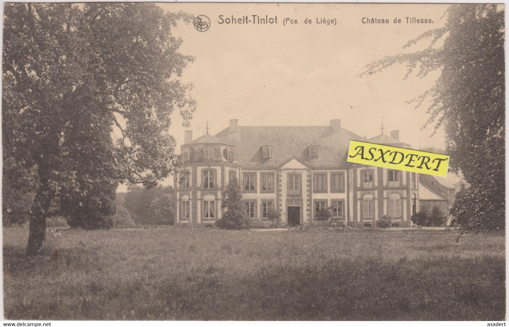 Soheit-Tinlot Château De Tillesse. Voyagé Vers 1920 - Tinlot