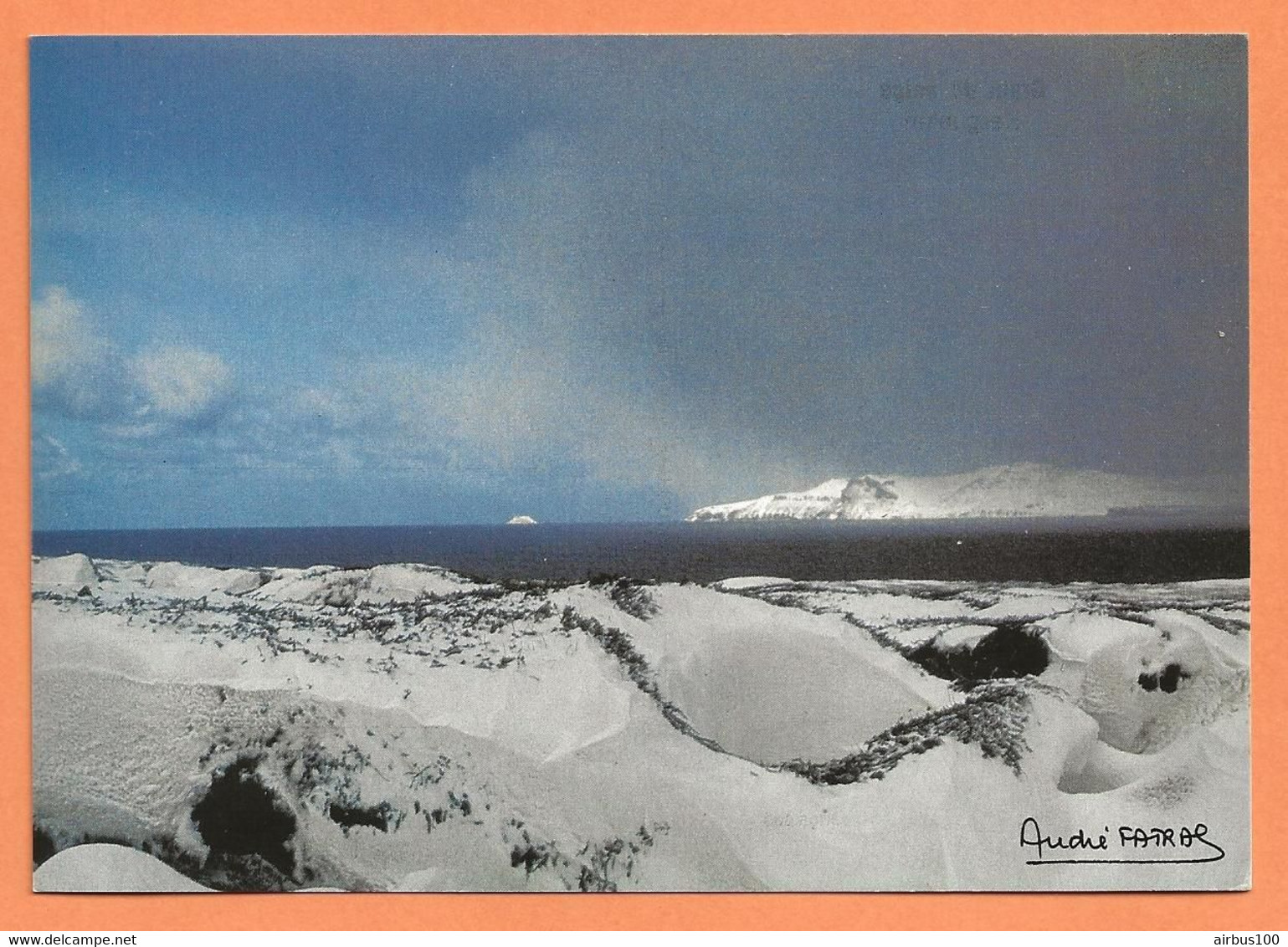 CARTE POSTALE TAAF - GRAIN De NEIGE KERGUELEN - PHOTO FATRAS - TAAF : Territorios Australes Franceses