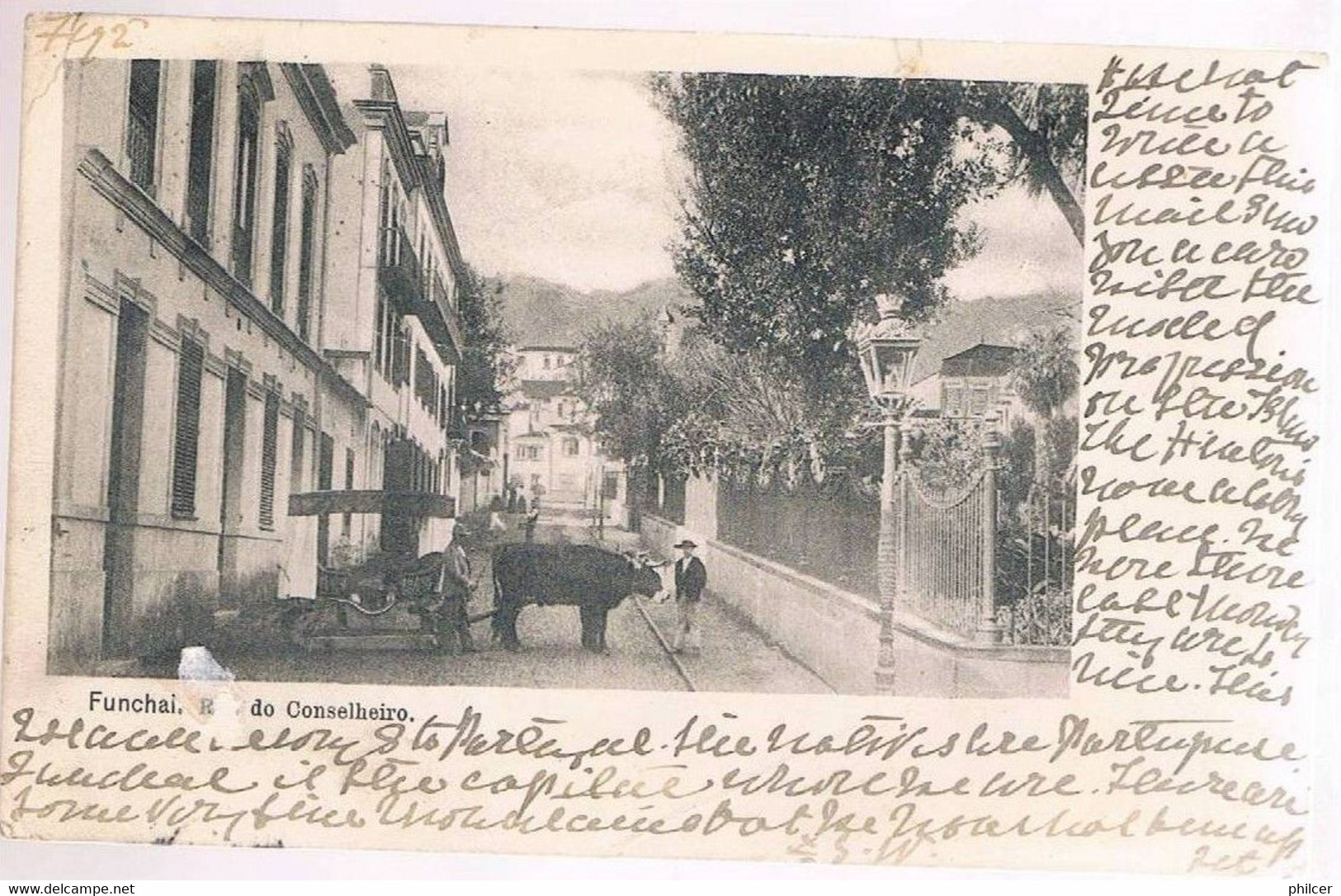 Funchal, 1902, Para Southampton, Ship Letter - Funchal