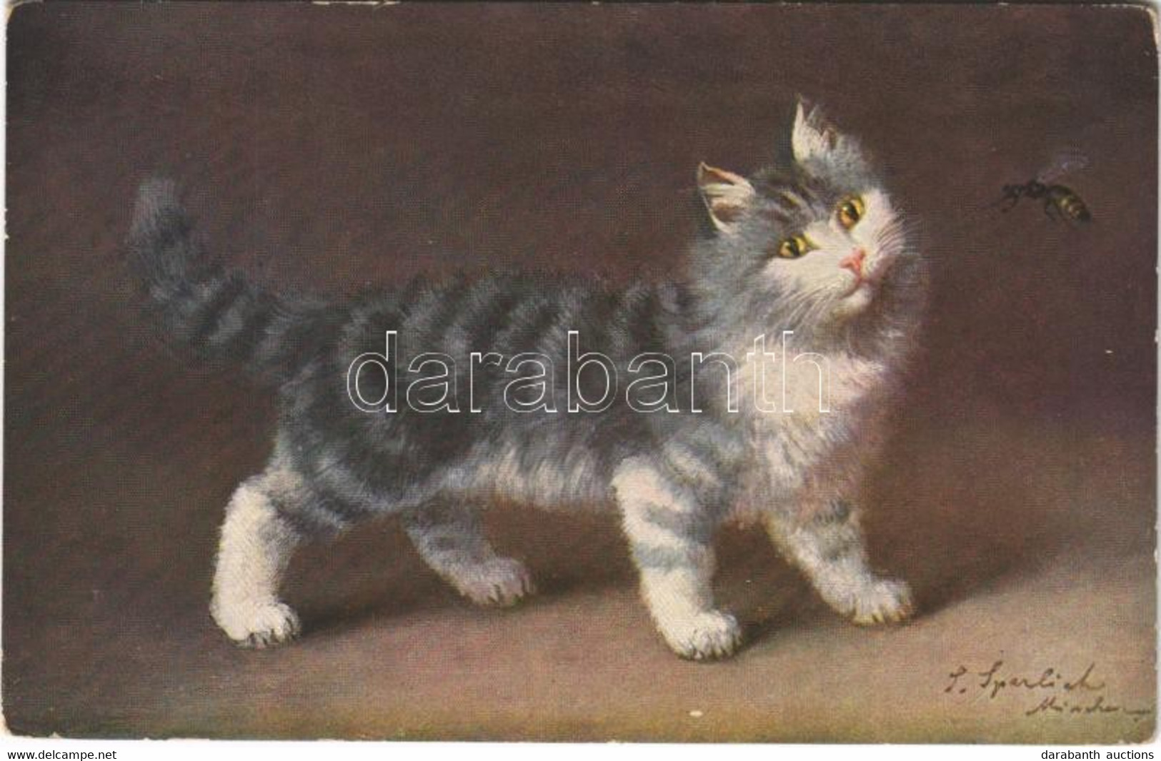 ** T2/T3 Cat Art Postcard. T.S.N. Serie 1843. (6 Dess.) S: Sperlich (EK) - Unclassified