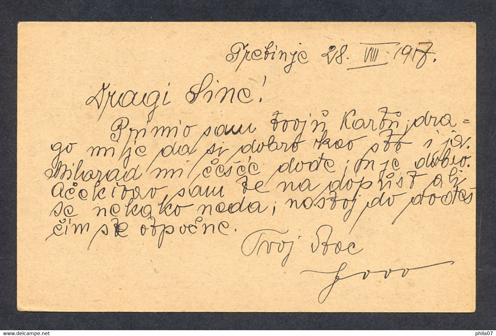 BOSNIA AND HERZEGOVINA - Military Stationery Sent From Trebinje 29.VIII. 1917. Nice Cancel 'K.und K. Milit.Post Trebinje - Bosnia And Herzegovina