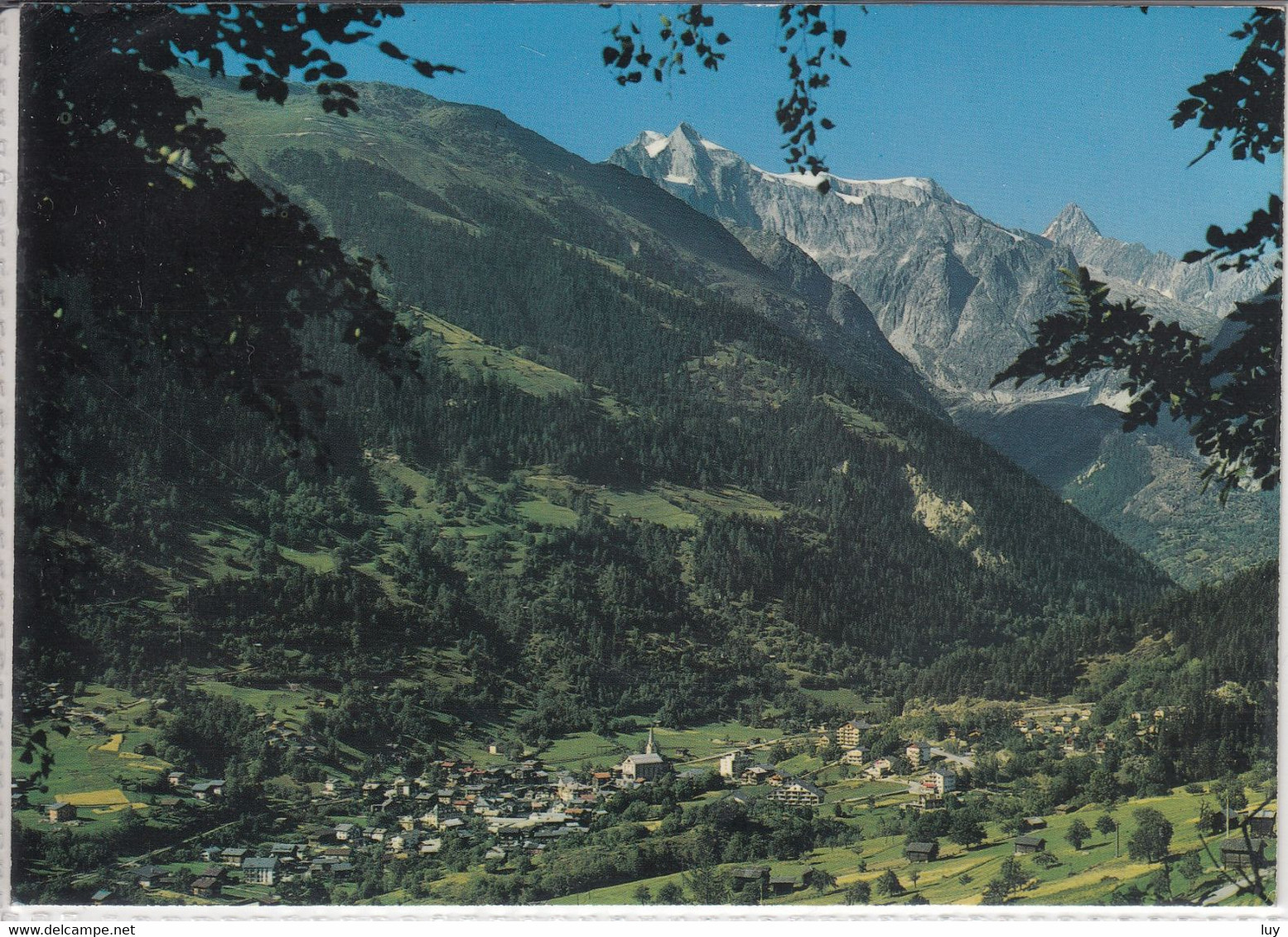 FIESCH, Wallis, Goms - Panorama M. Wannenhorn, Finsteraarhorn - Goms