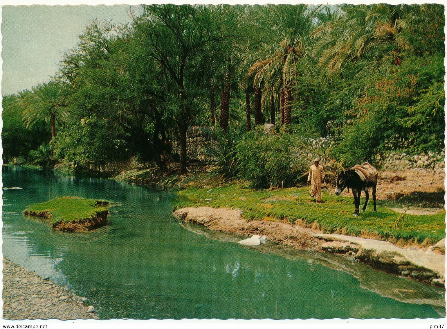 OMAN - The Valley Of Nizwa - Oman