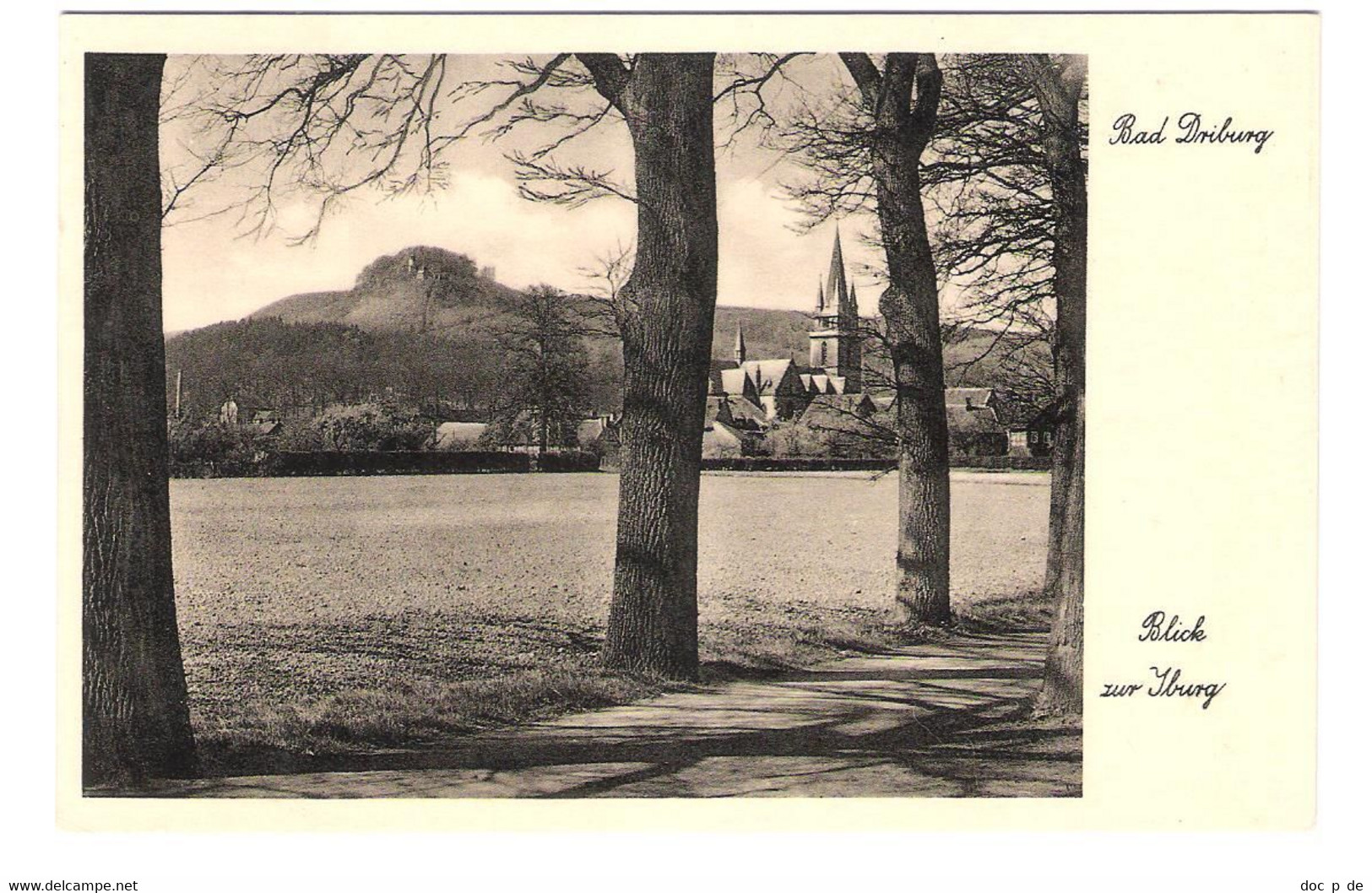 Deutschland - Bad Driburg - Blick Zur Iburg - Alte Ansicht - 1934 - Bad Driburg