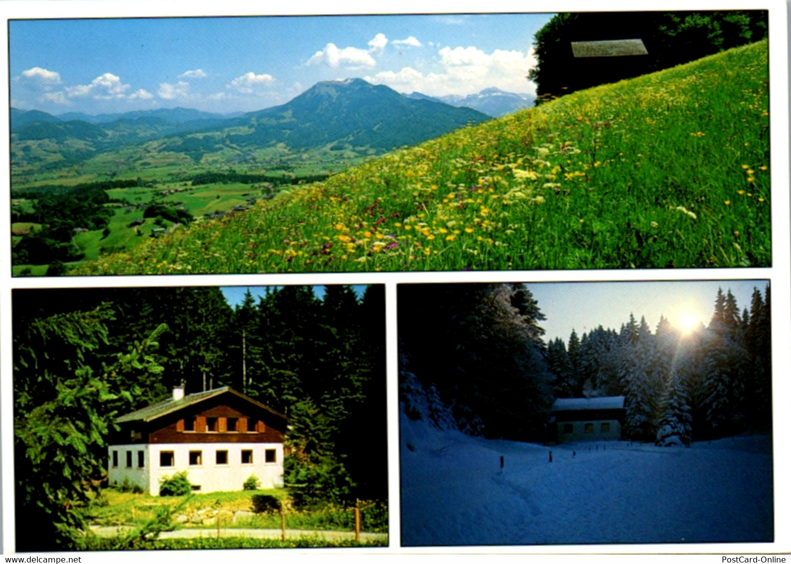 5855 - Vorarlberg - Bödele , Bergwiese Am Bödele Mit Blick In Den Bregenzerwald , Vereinsheim Schwarzach - Gelaufen 1992 - Dornbirn