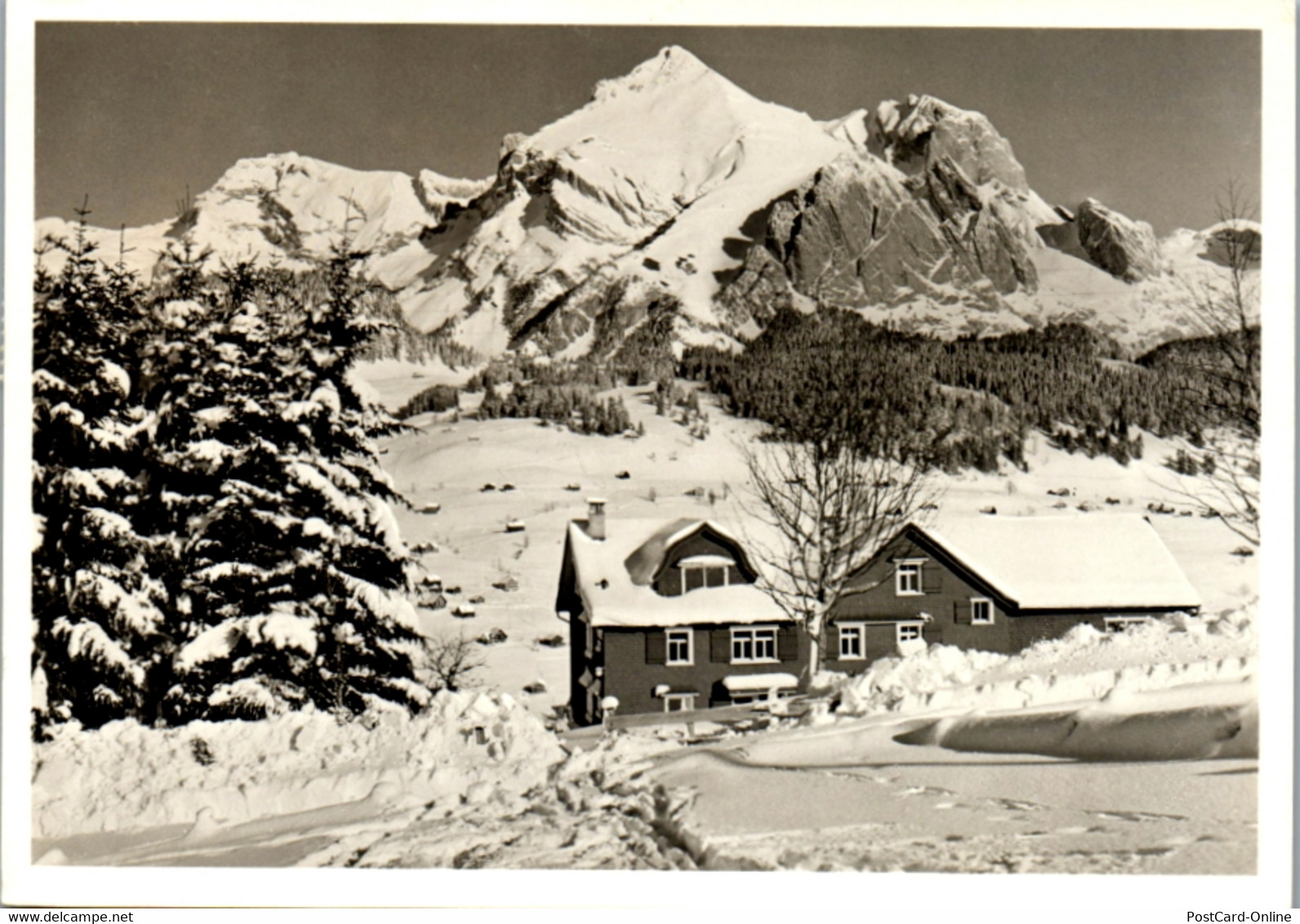 6224 - Schweiz - Zollikon , Ferienheim , Wildhaus - Gelaufen 1962 - Zollikon