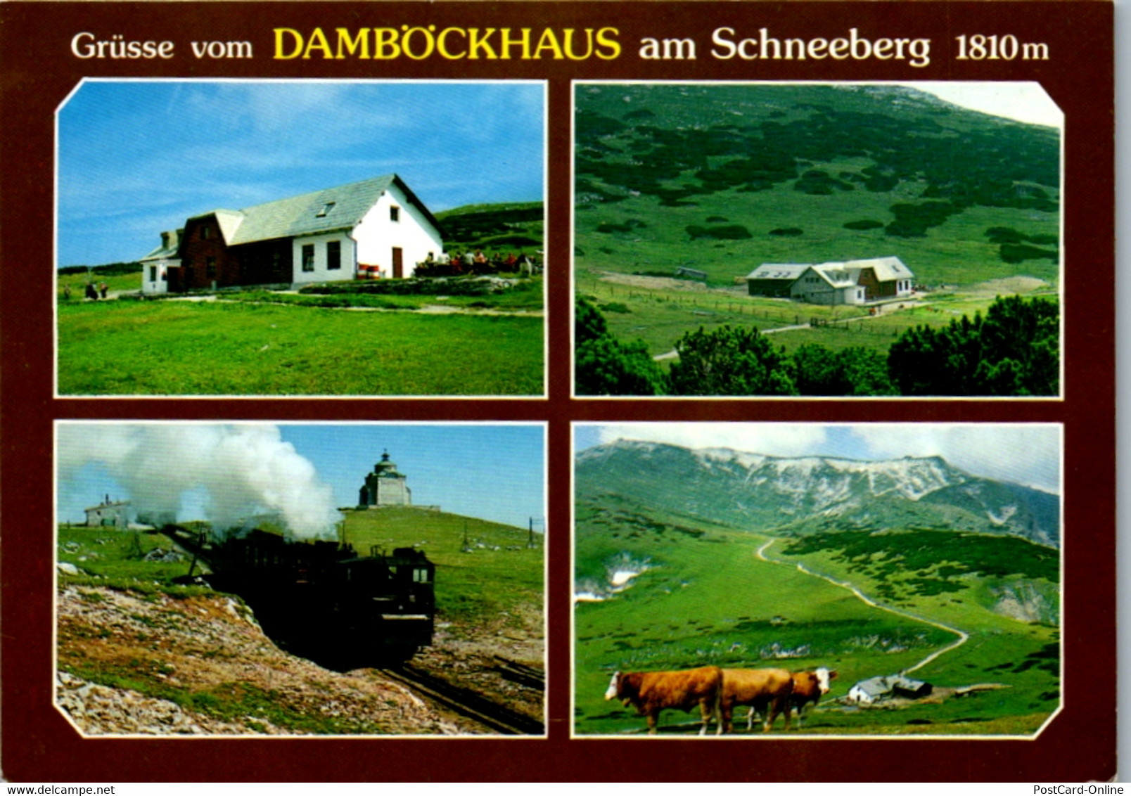 6383 - Niederösterreich - Puchberg , Damböckhaus Am Schneeberg , Hochschneeberg , Zahrradbahn - Gelaufen 1999 - Schneeberggebiet