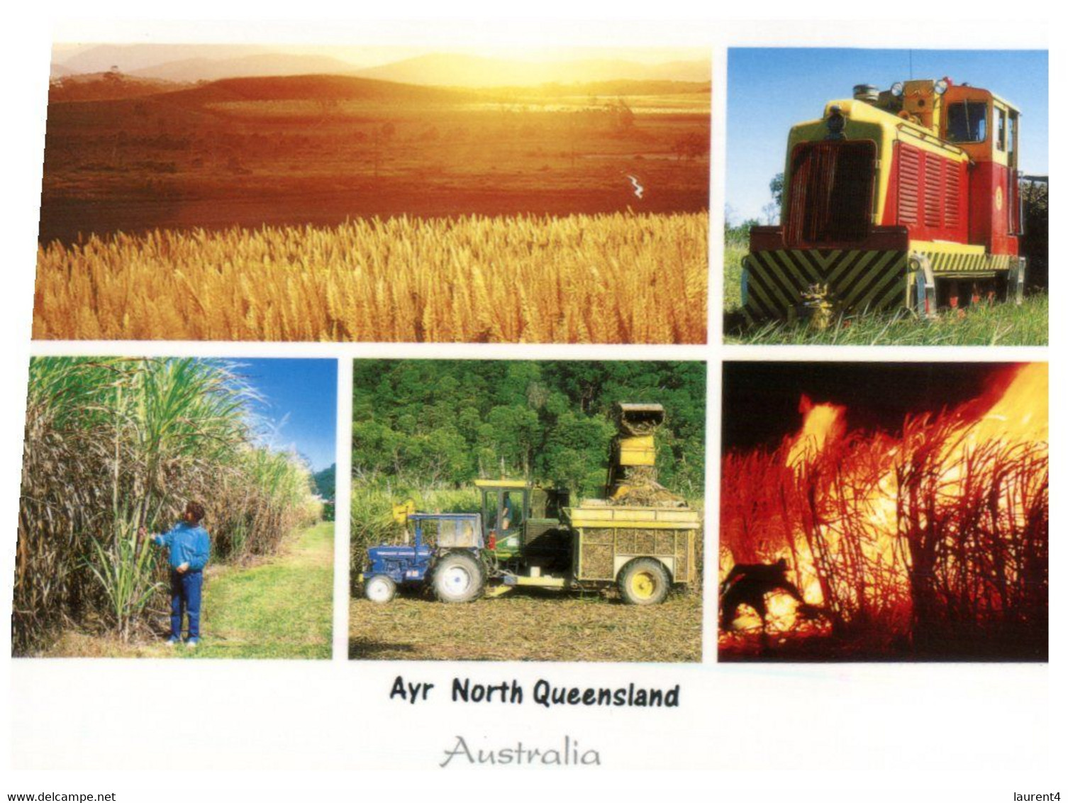 (II [ii] 11 A) (ep) Australia - QLD - Ayr - Sugar Cane Industry - Far North Queensland