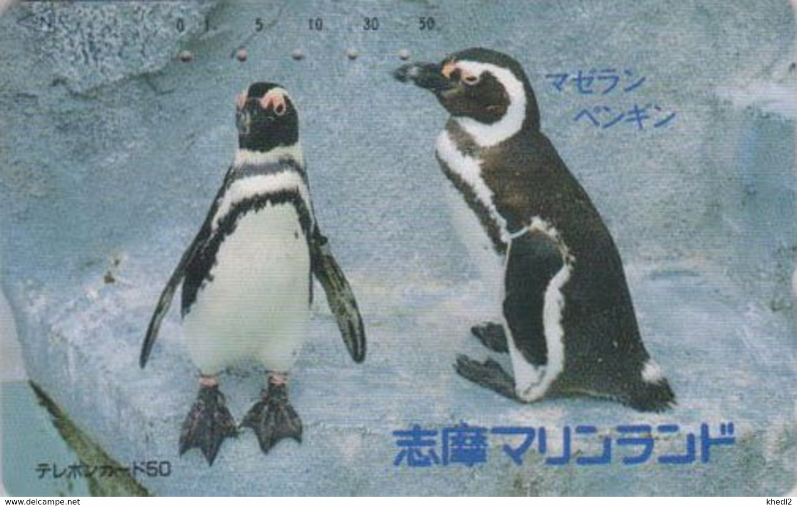 TC JAPON / 290-15011 - ANIMAL - OISEAU - MANCHOT DE MAGELLAN -  PENGUIN BIRD - JAPAN Free Phonecard -  5424 - Pingueinos