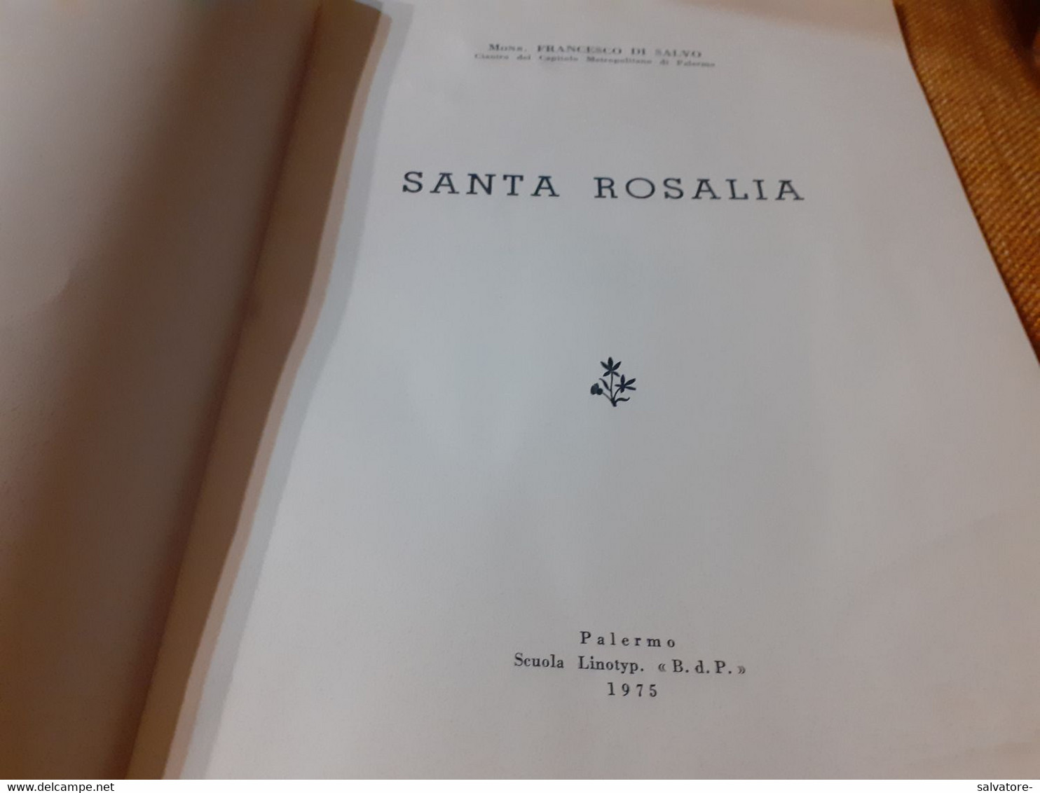 SANTA ROSALIA - LA SANTUZZA DI PALERMO - 14 PAGINE 1975 - Religion