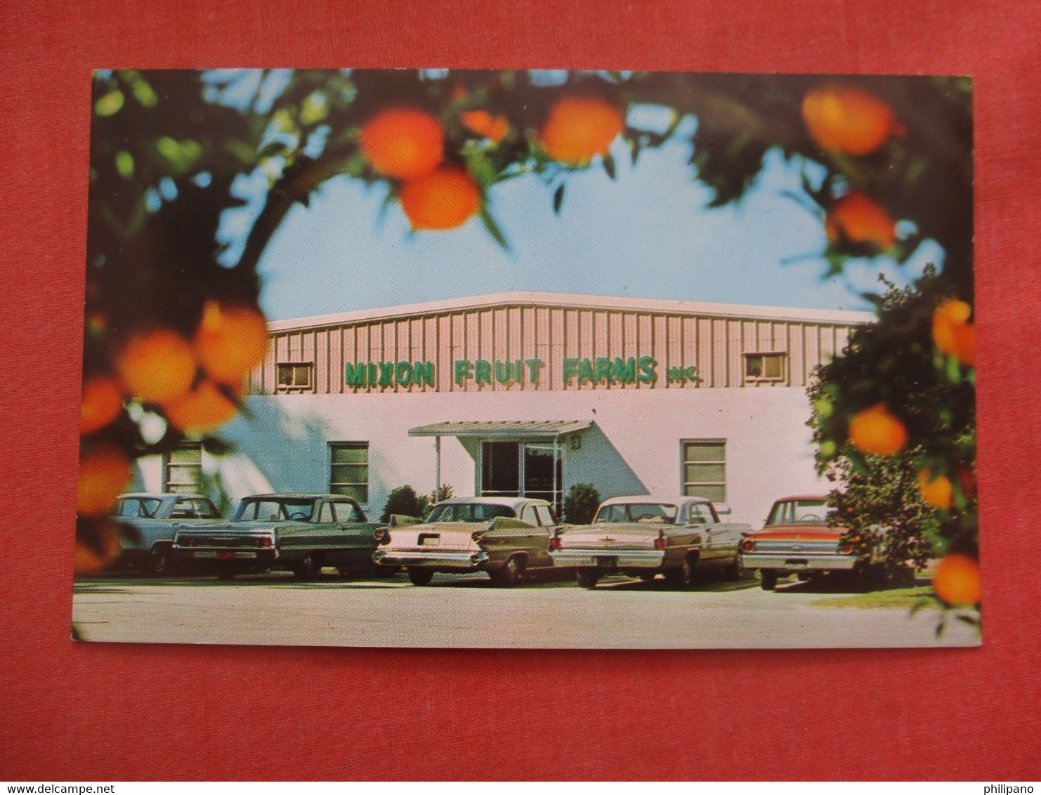 Mixon Fruit Farm  Bradenton   Florida      >ref 4672 - Bradenton