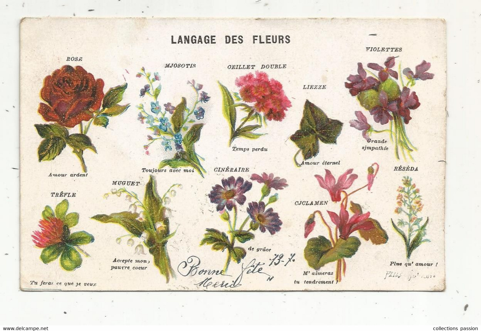 Cp , Fleurs , LANGAGE DES FLEURS , Dos Simple ,voyagée 1906 , Union Postale Universelle - Fleurs