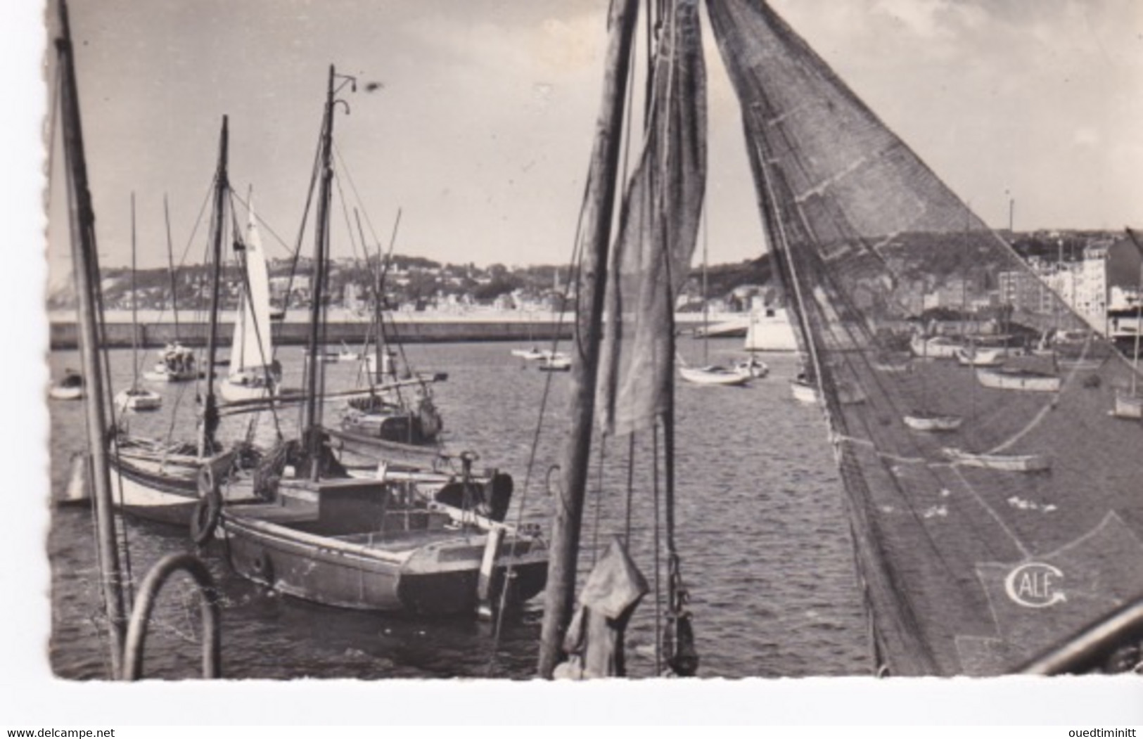 Bateaux De Pêche Du Petit Port Du Havre, Cpsm Dentelée. - Pêche