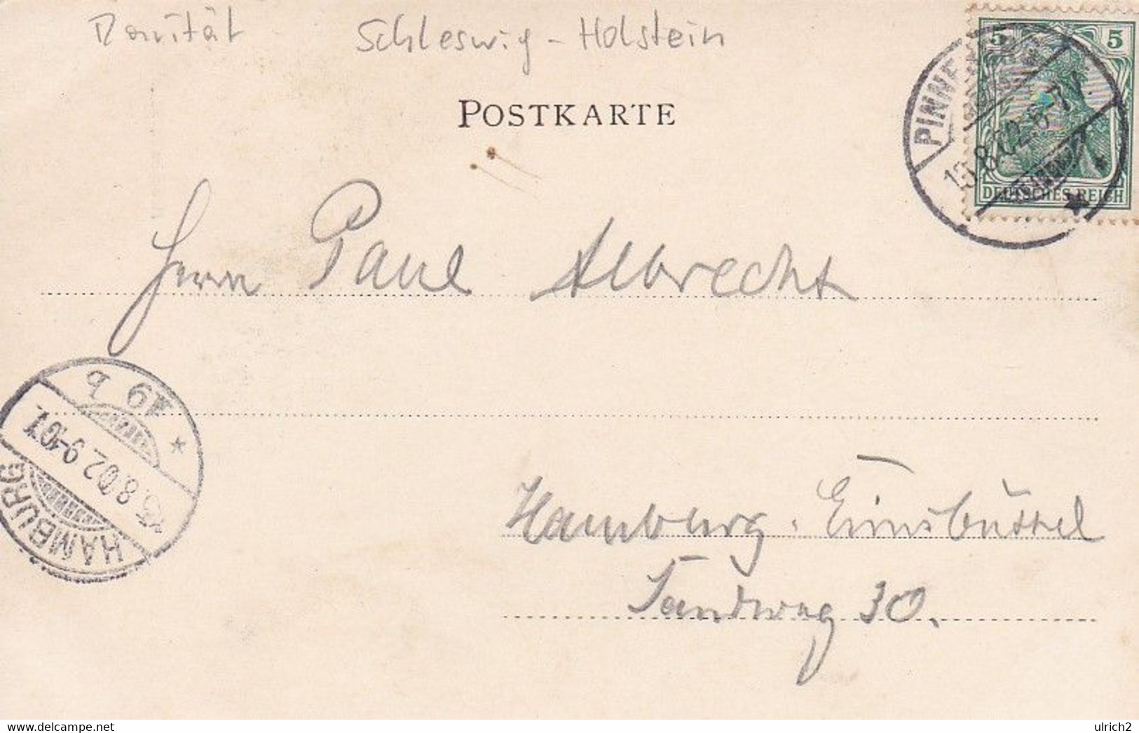 AK Pinneberg - Allée Im Gehölz - 1902 (54384) - Pinneberg
