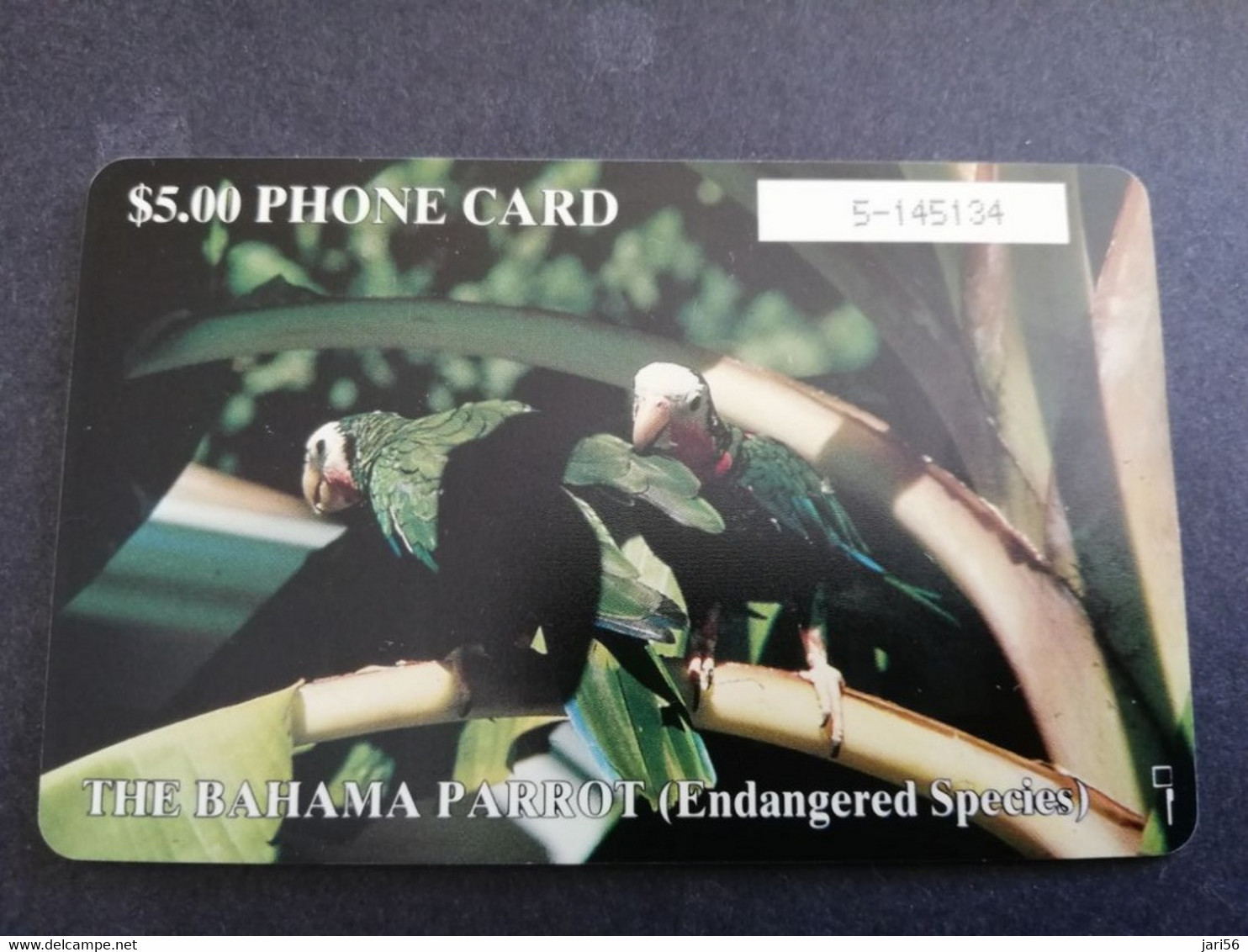 BAHAMAS $5,- CHIPCARD   THE BAHAMA PARROT   **4794** - Bahamas