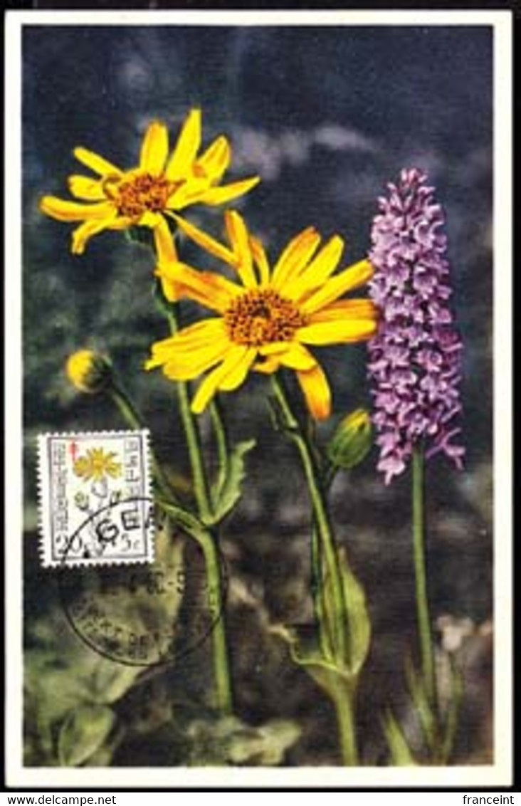 BELGIUM (1949) Arnica. Maximum Card With First Day Cancel. Scott No B468, Yvert No 814. - 1934-1951