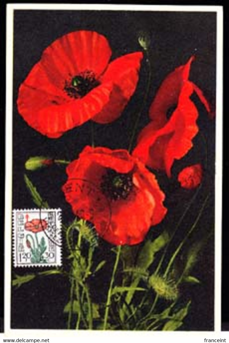 BELGIUM (1949) Field Poppy. Maximum Card With First Day Cancel. Scott No B471, Yvert No 817. - 1934-1951