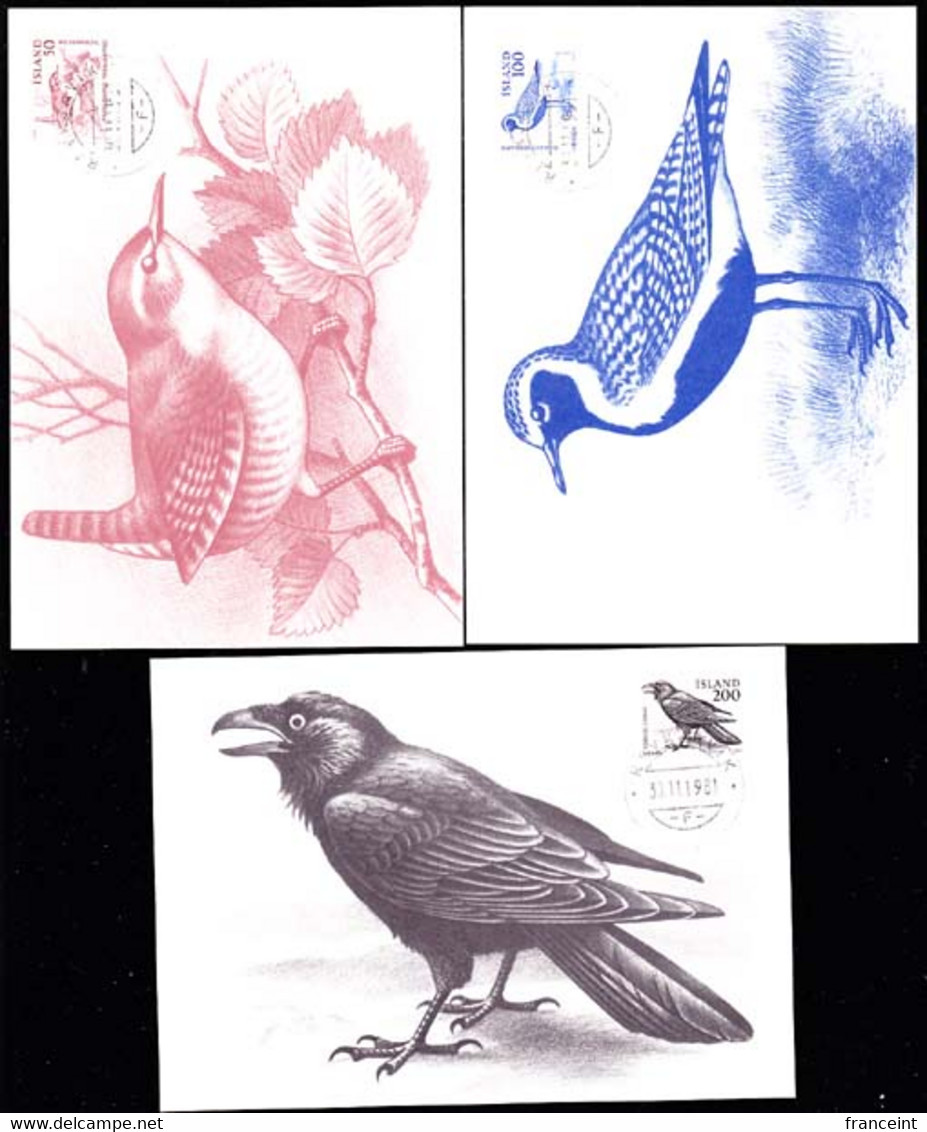 ICELAND (1981) Various Birds. Set Of 3 Maximum Cards. Scott Nos 543-5, Yvert Nos 520-2 - Maximumkaarten