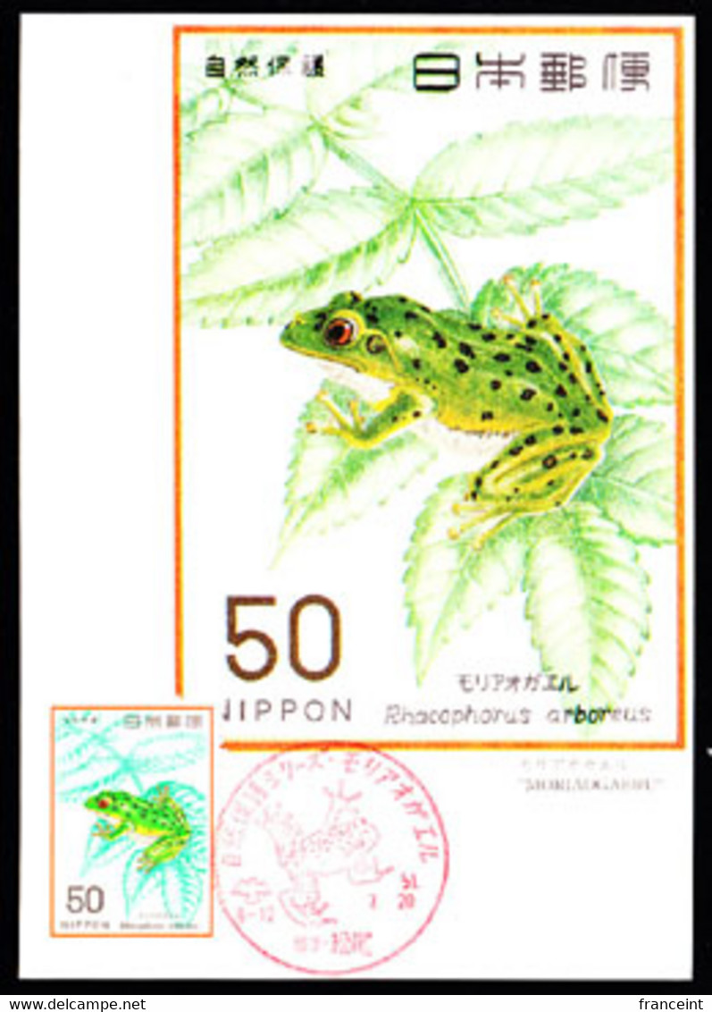 JAPAN (1976) Green Tree Frog. Maximum Card With Thematic Cancel. Scott No 1261, Yvert No 1195. - Tarjetas – Máxima