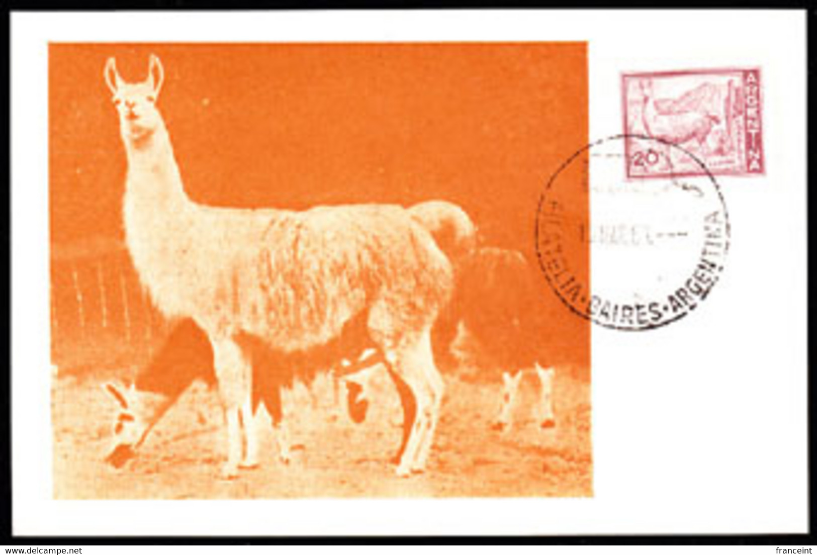 ARGENTINA (1961) Llama. Maximum Card With First Day Cancel. Scott No 686, Yvert No 602a. - Otros & Sin Clasificación