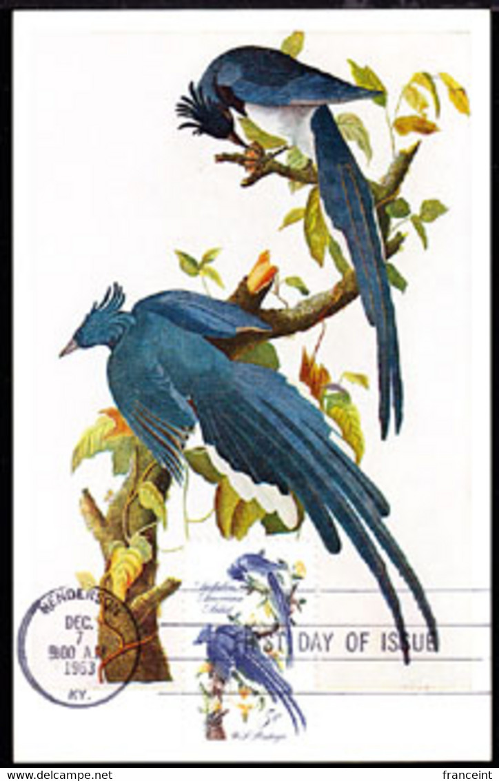 U.S.A. (1963) Columbia Jays By Audubon. Maximum Card With First Day Cancel. Scott No 1241, Yvert No 756. - Maximumkaarten