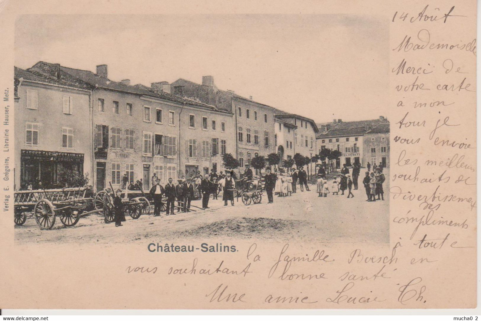 57 - CHATEAU SALINS - BELLE VUE BIEN ANIMEE - Chateau Salins