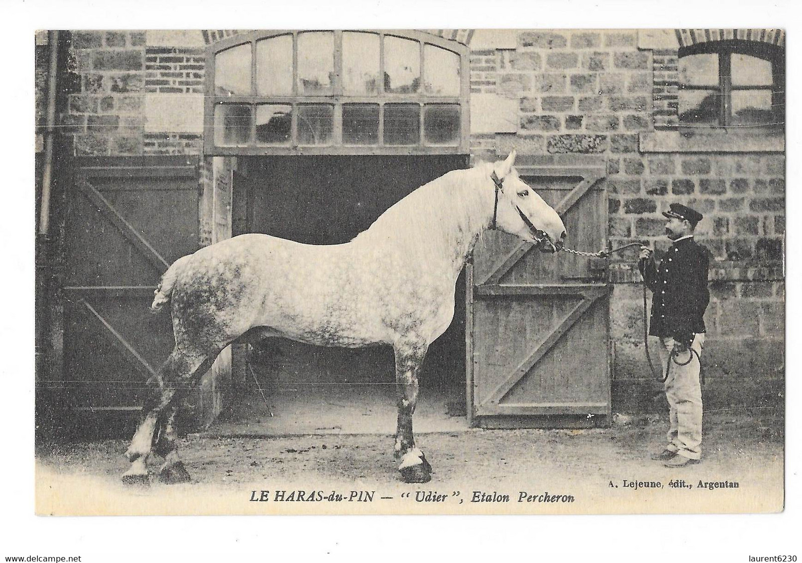 Le Haras-du-Pin - Udier Etalon Percheron - édit. A. Lejeune  + Verso - Altri & Non Classificati