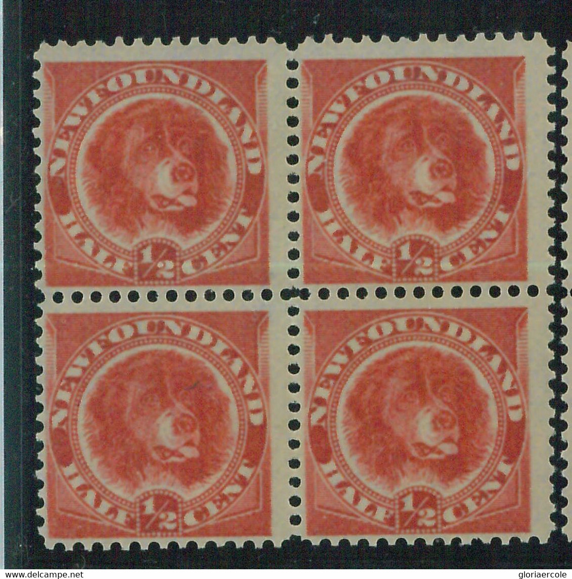 95766a - CANADA: Newfoundland - STAMP: SG #  49 Block Of 4 -  MINT   MNH - Altri & Non Classificati