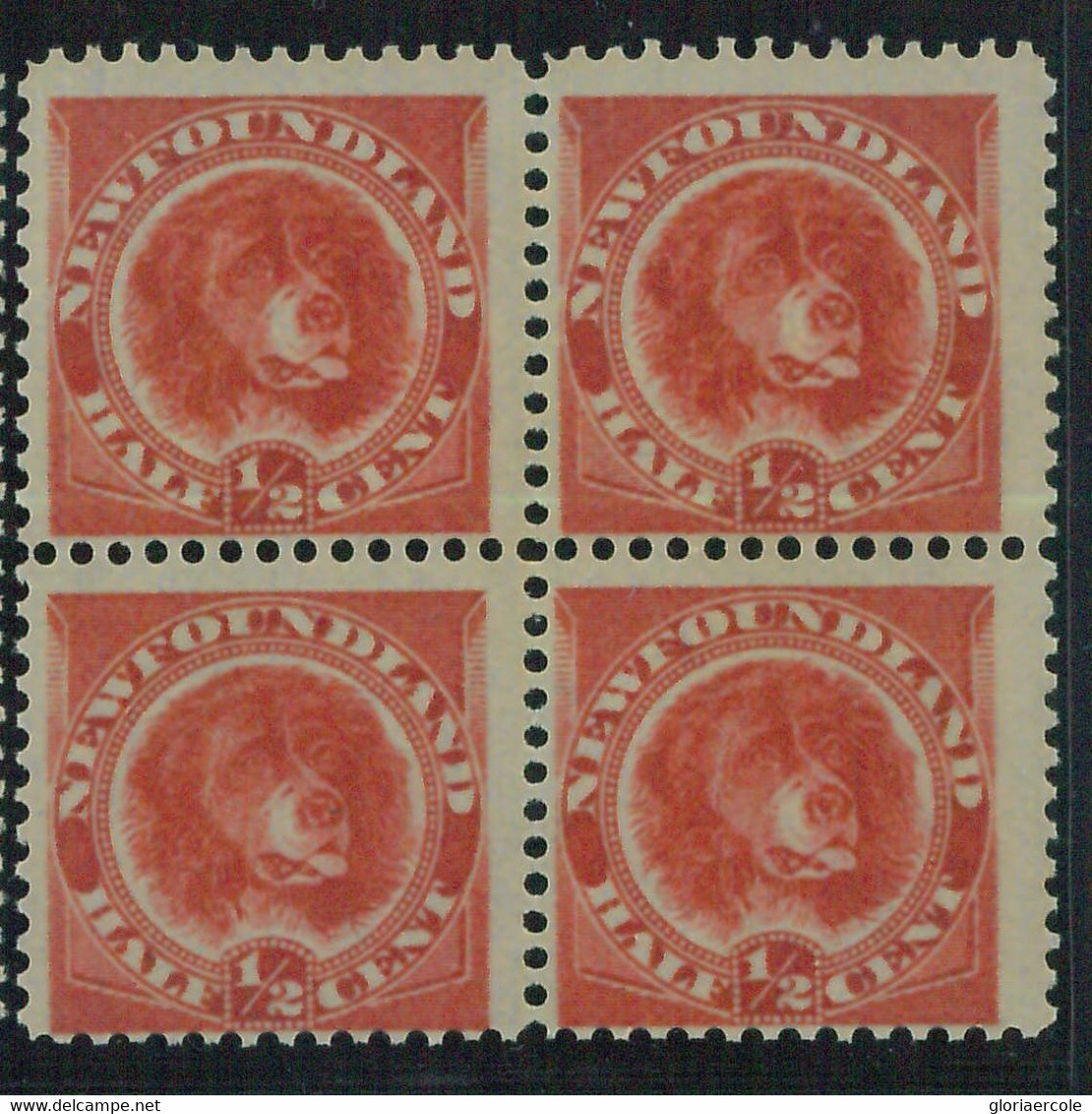 95766aB - CANADA: Newfoundland - STAMP: SG #  49 Block Of 4 -  MINT   MNH - Other & Unclassified