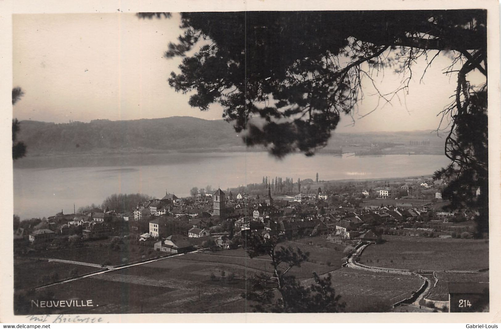 Neuveville - Vue Sur Le Village Et Le Lac - La Neuveville