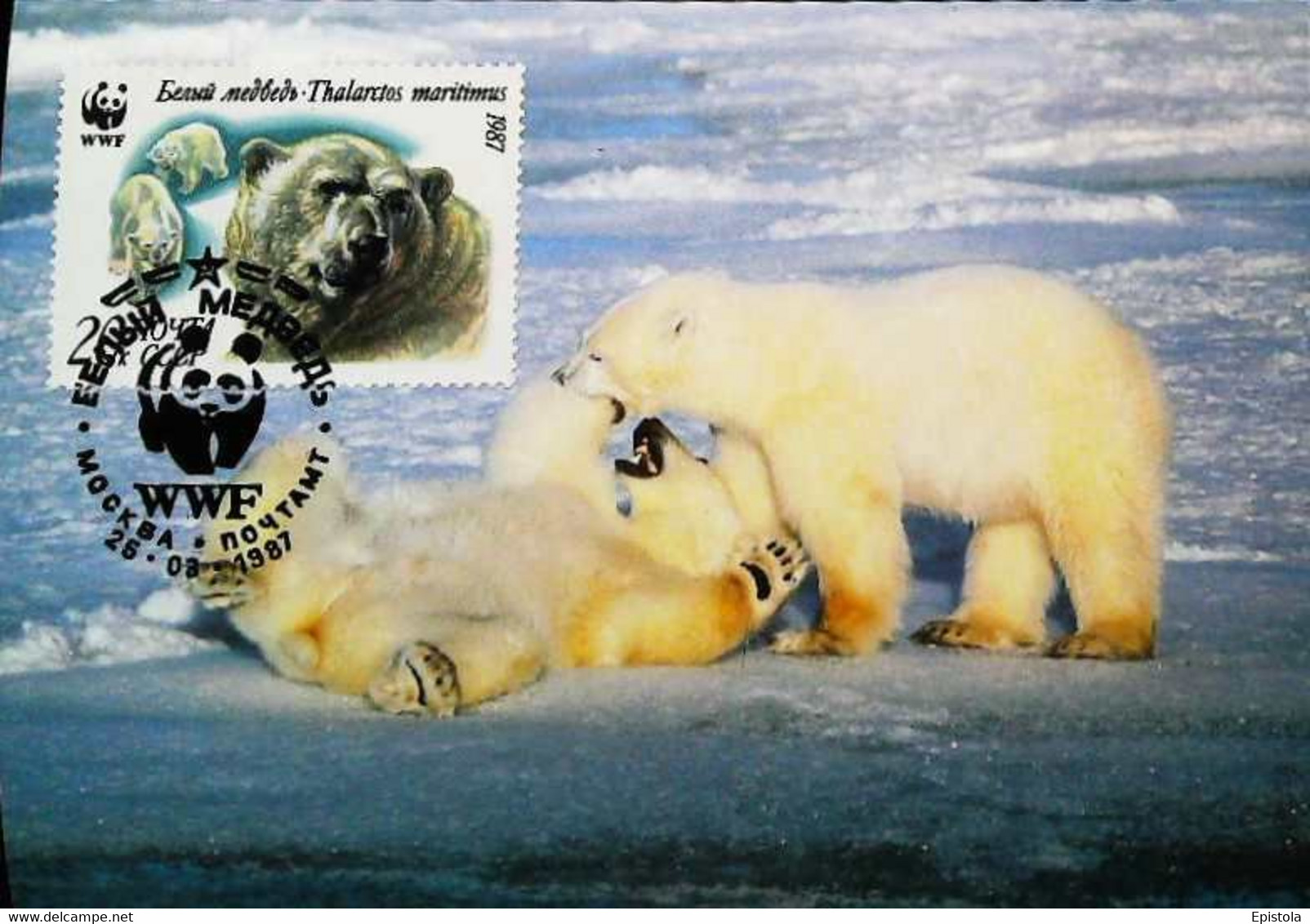 ► WWF Russia Polar Bear - Carte Maximum Card 1987 - CCCP - Oblitérés