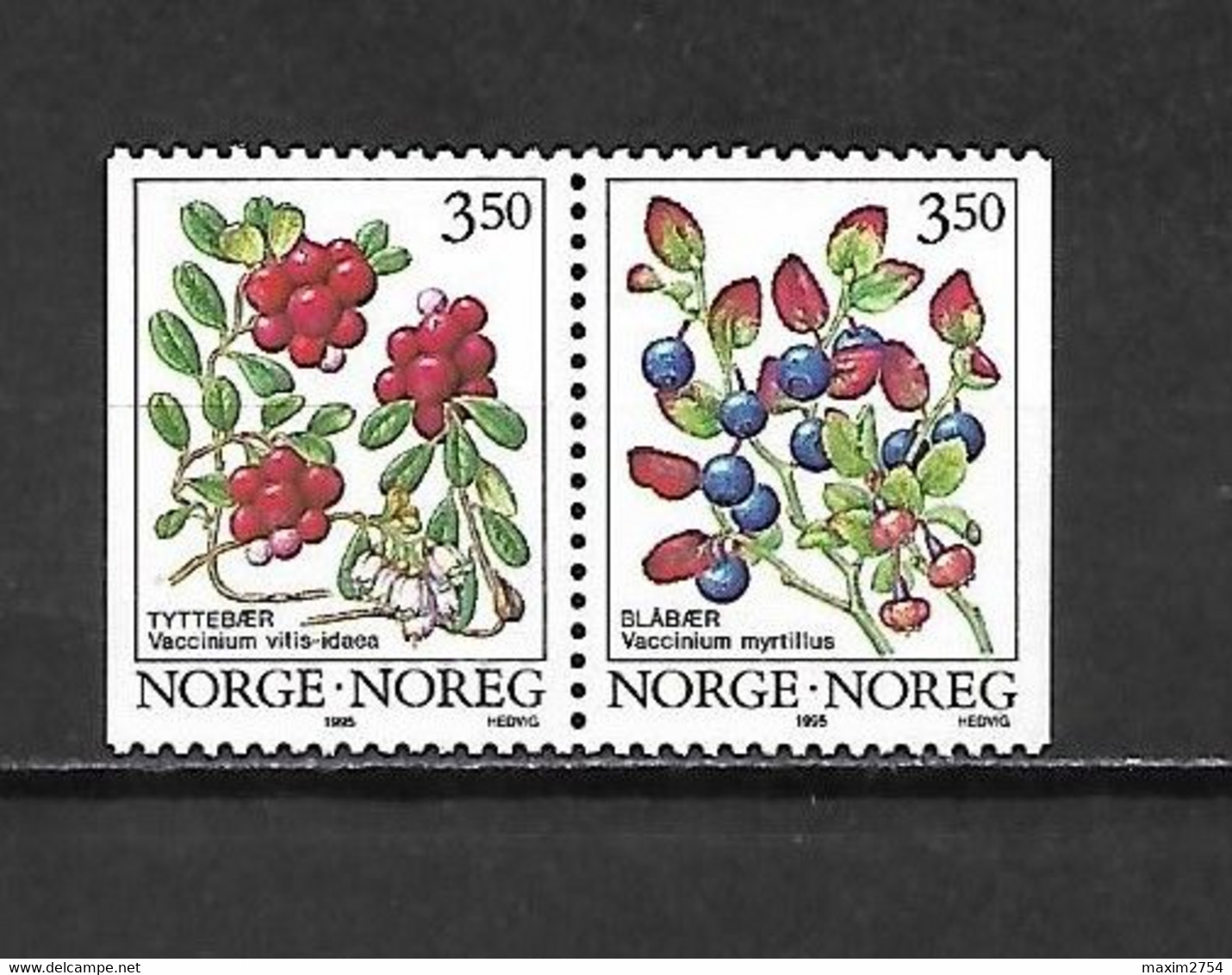 NORVEGIA - 1995 - N. 1131A/32A** IN COPPIA (CATALOGO UNIFICATO) - Otros & Sin Clasificación