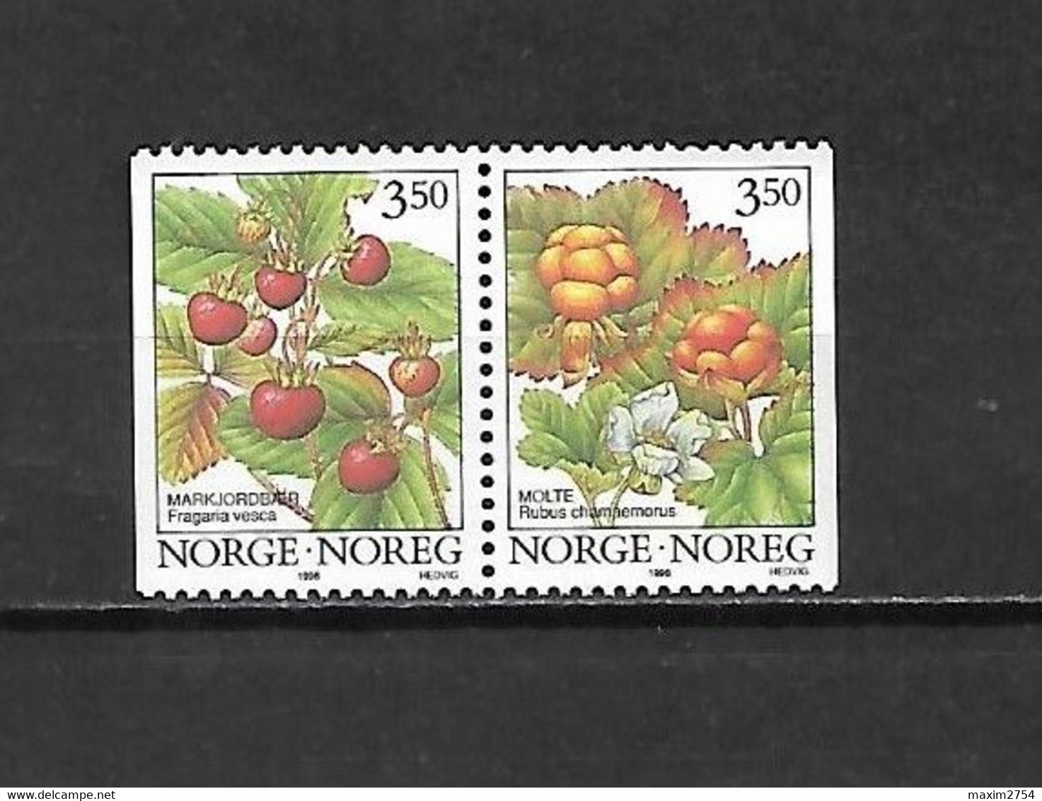 NORVEGIA - 1996 - N. 1161/62** IN COPPIA (CATALOGO UNIFICATO) - Otros & Sin Clasificación