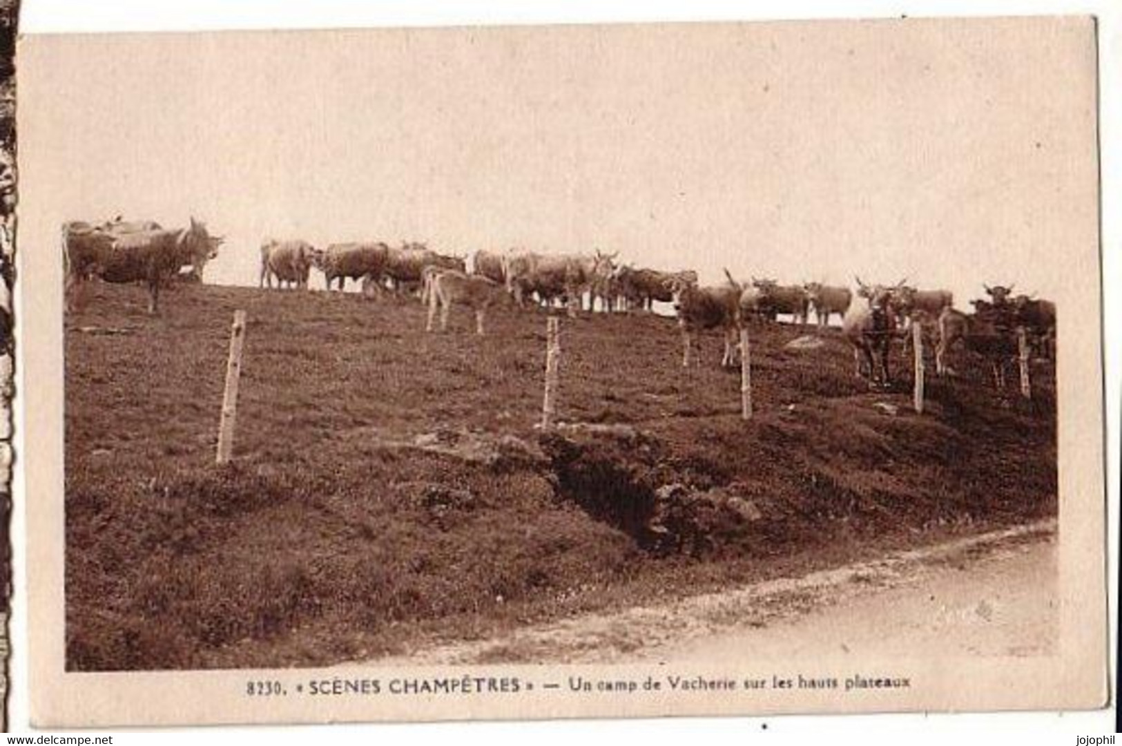 Scénes Champêtres - Un Camp De Vacherie Sur Les Hauts Plateaux - éd. Léon Margerit - - Le Bleymard