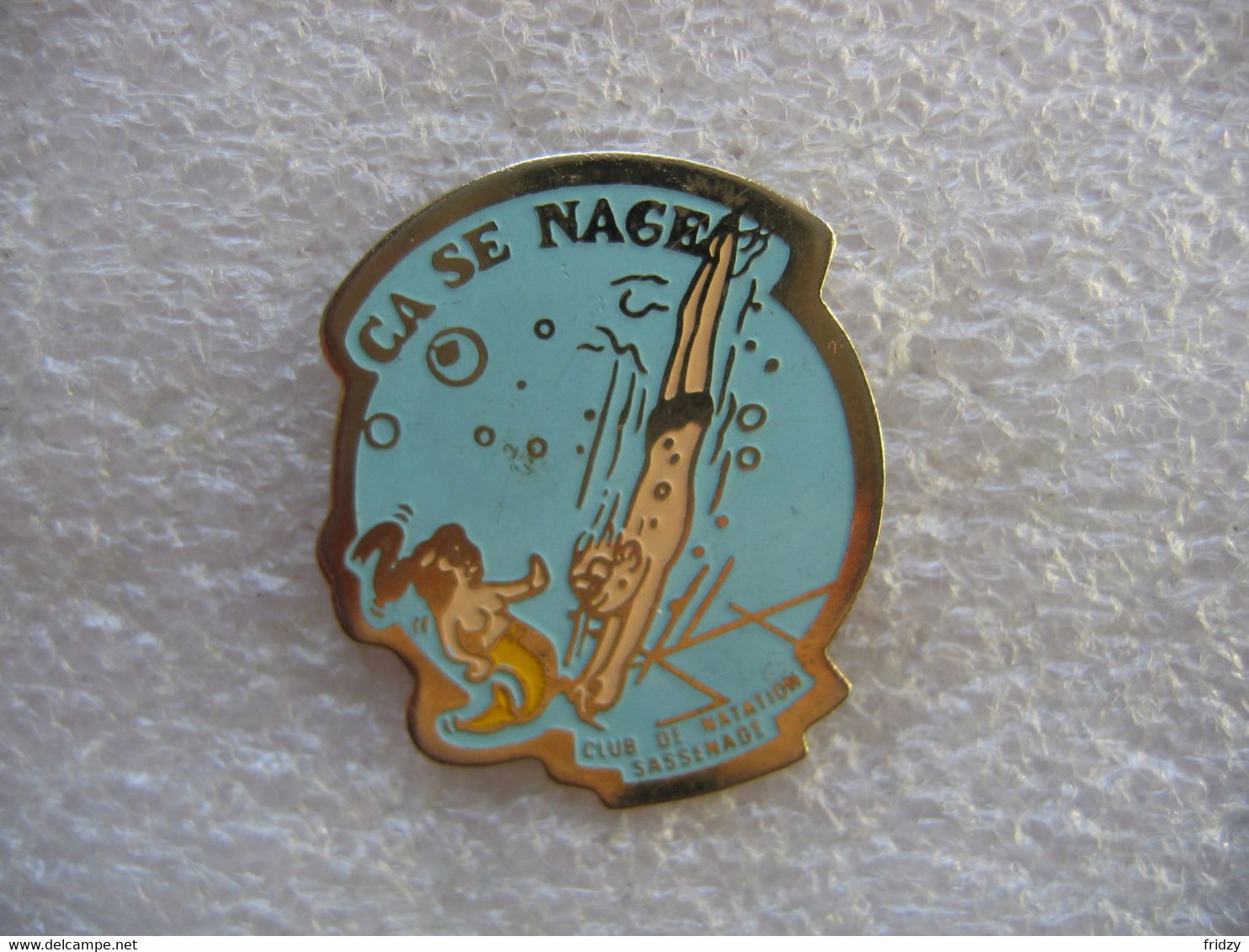 Pin's Du Club De Natation De La Commune De SASSENAGE (Dépt 38). Ca Se Nage - Natation