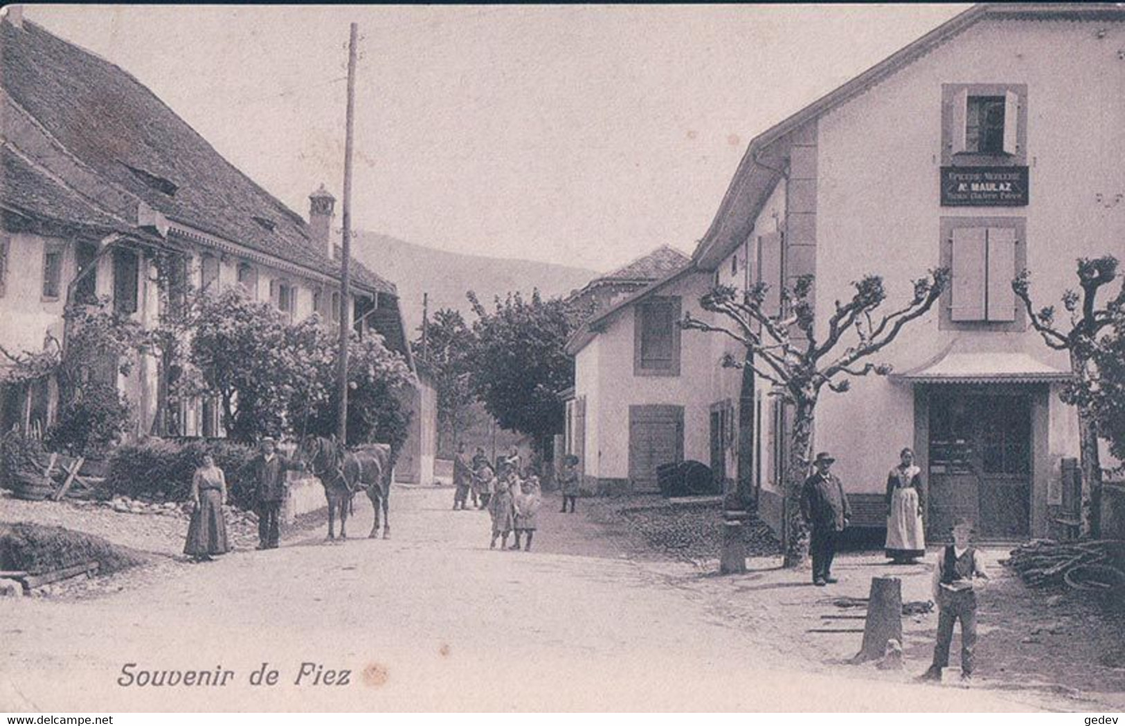 Souvenir De Fiez VD, Rue Animée, Epicerie Mercerie A. Maulaz (688) - Fiez