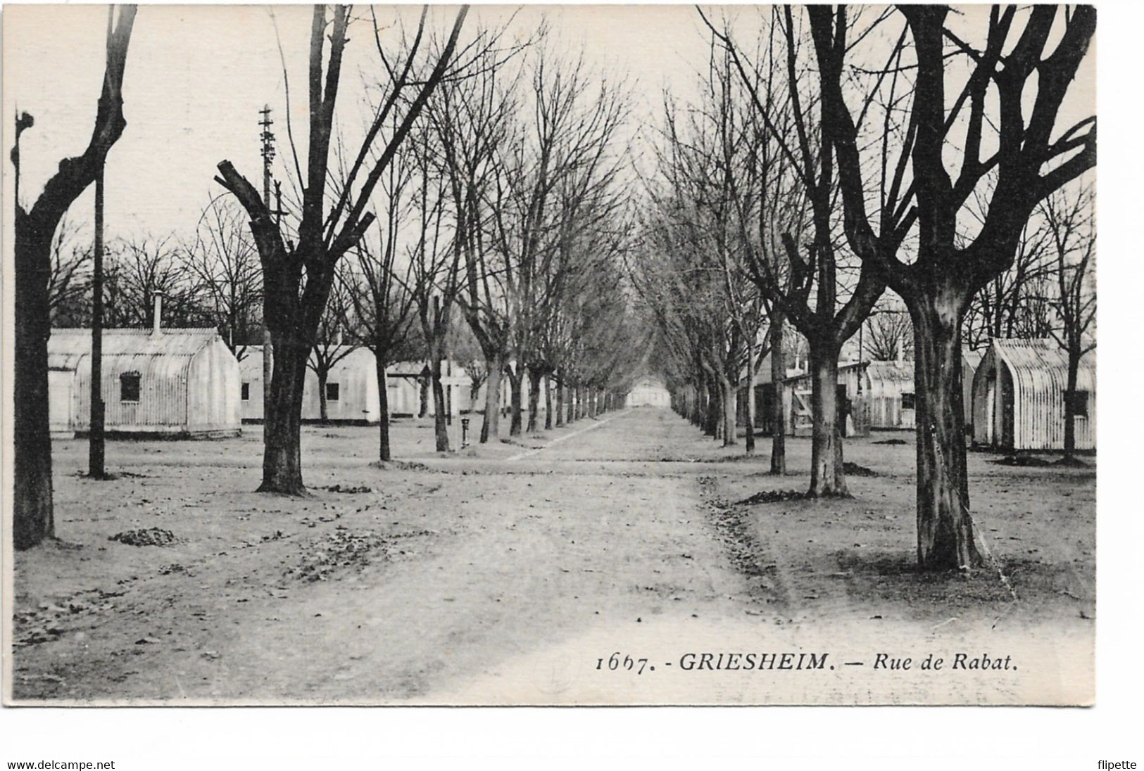 L100H1232 - Griesheim - Rue De Rabat - N°1667 - Griesheim