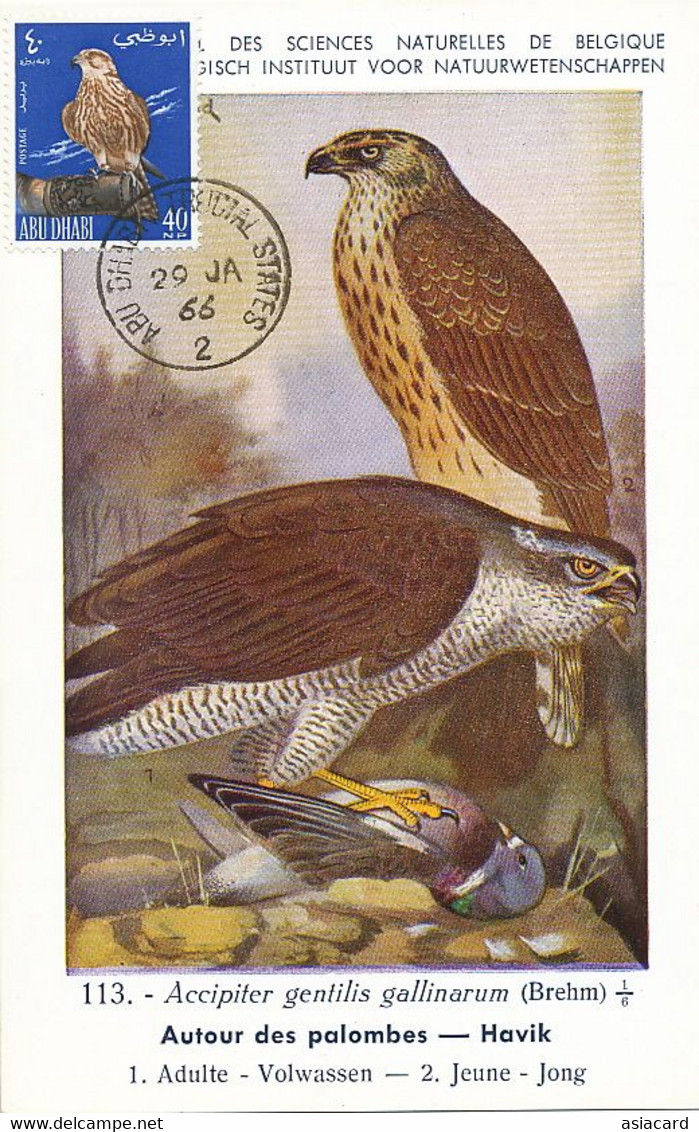 Maximum Card Falcon And Doves . Hunting . Abu Dhabi 1966 Same Stamp As The Card  . Old Postcard Art Card Dupond - Verenigde Arabische Emiraten