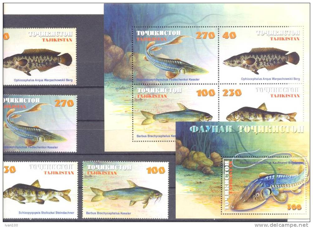2000.  Tajikistan, Fishes, 4v + 2 S/s, Mint/** - Tadjikistan